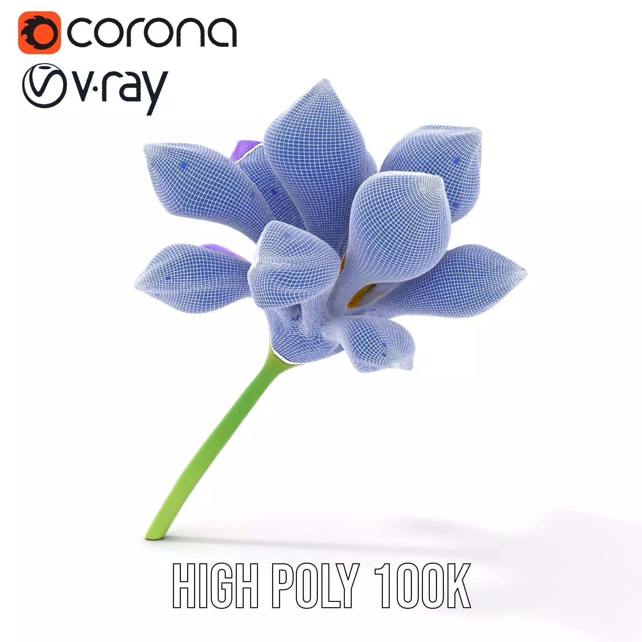 Radiant Orchid Bloom model pack Low-poly 3D model_23