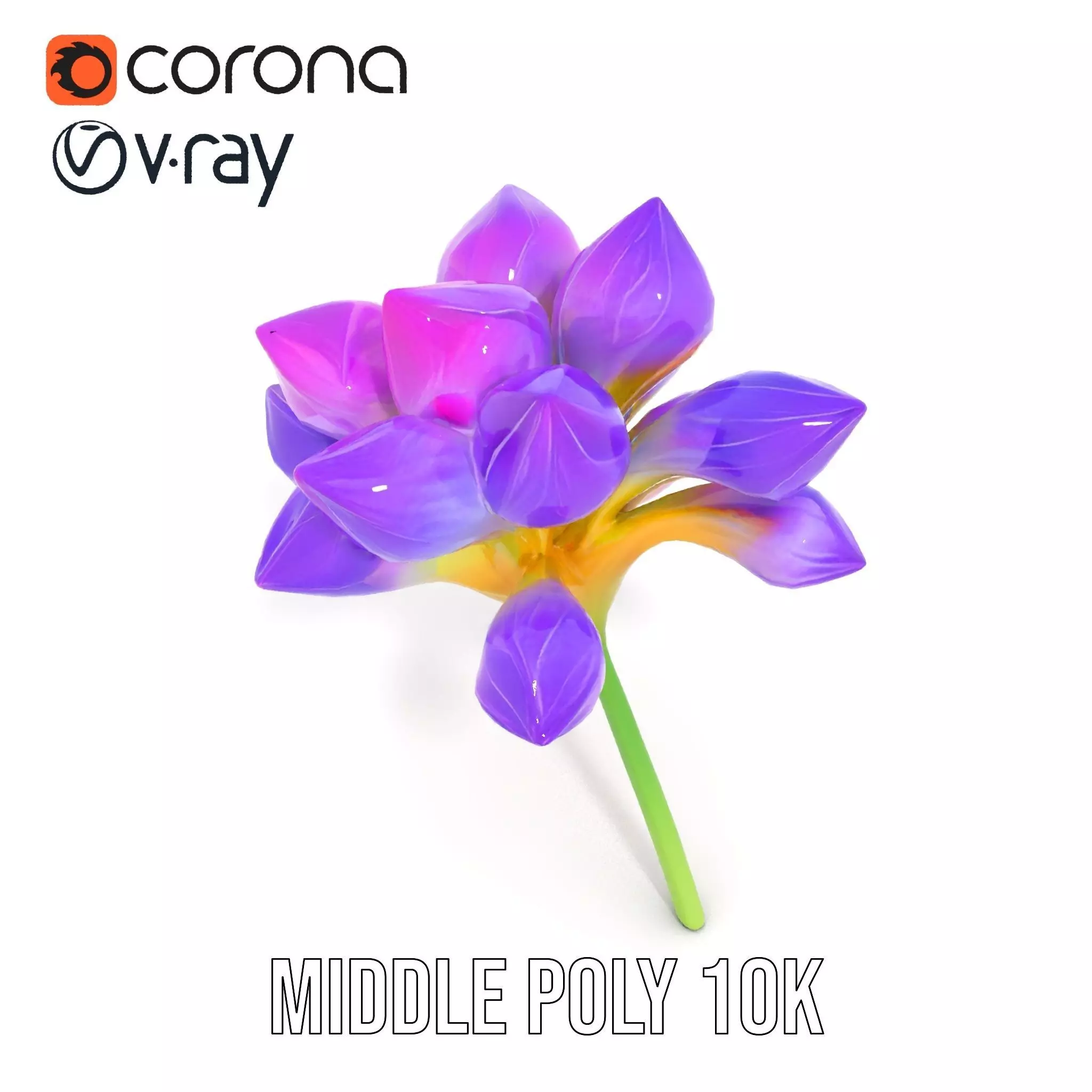 Radiant Orchid Bloom model pack Low-poly 3D model_5