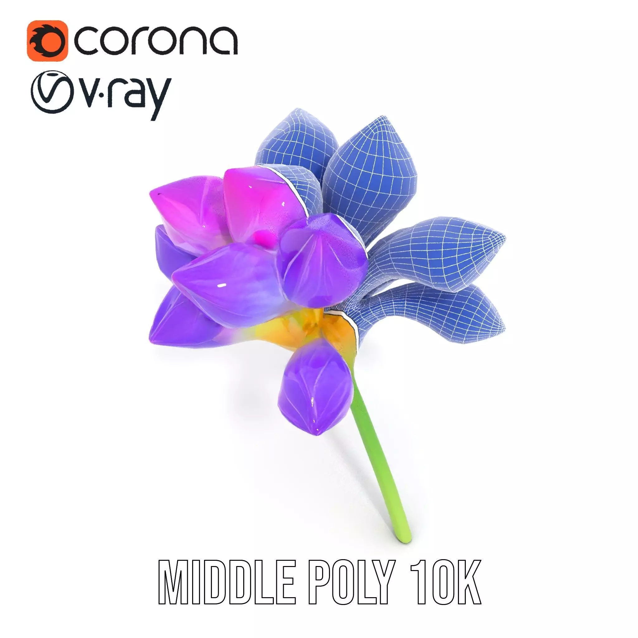 Radiant Orchid Bloom model pack Low-poly 3D model_26