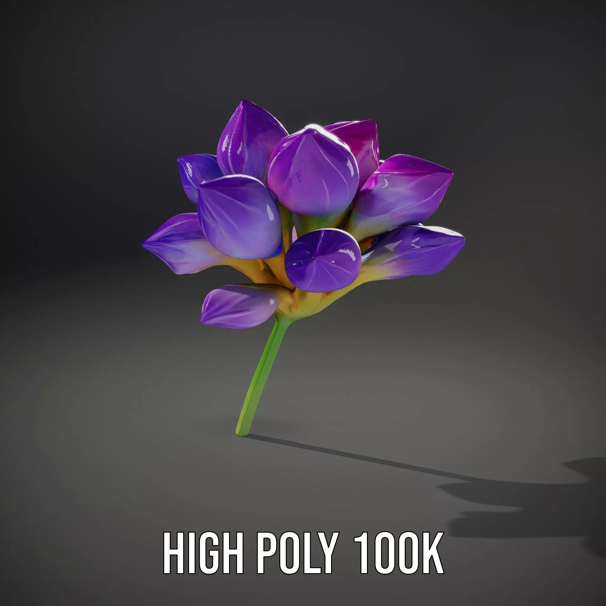 Radiant Orchid Bloom model pack Low-poly 3D model_8