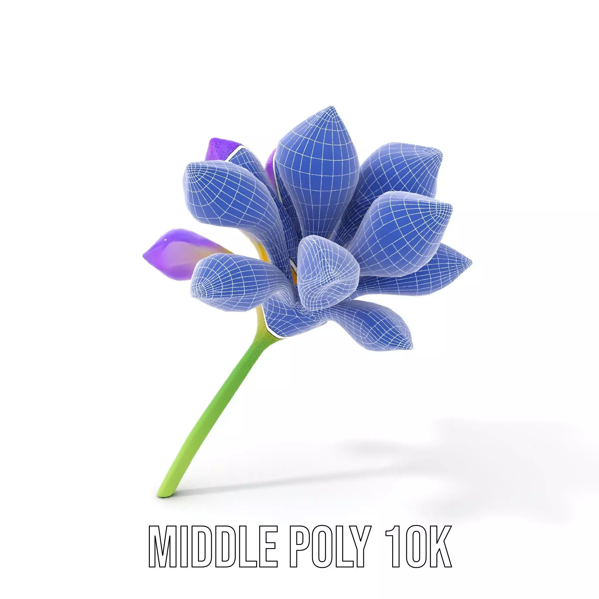 Radiant Orchid Bloom model pack Low-poly 3D model_24
