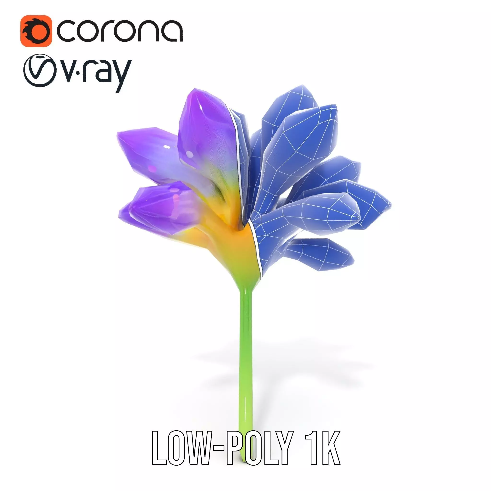 Radiant Orchid Bloom model pack Low-poly 3D model_27