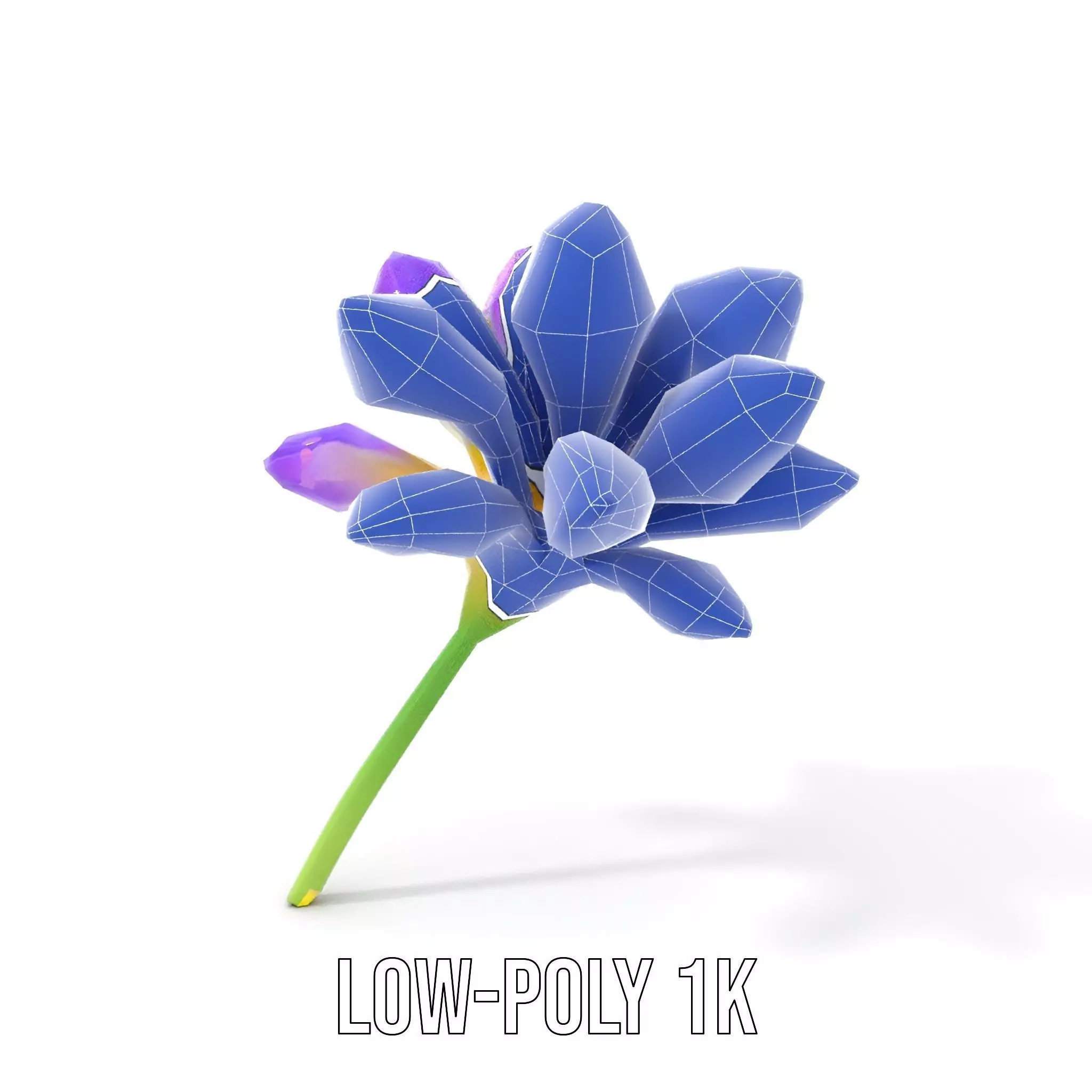 Radiant Orchid Bloom model pack Low-poly 3D model_19
