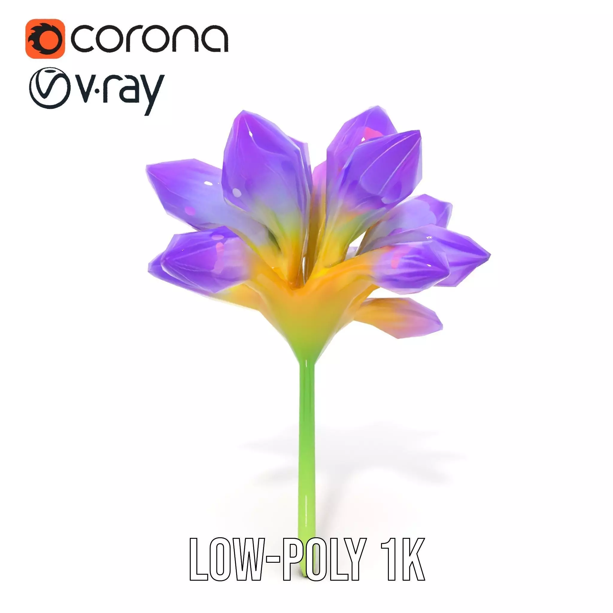 Radiant Orchid Bloom model pack Low-poly 3D model_22