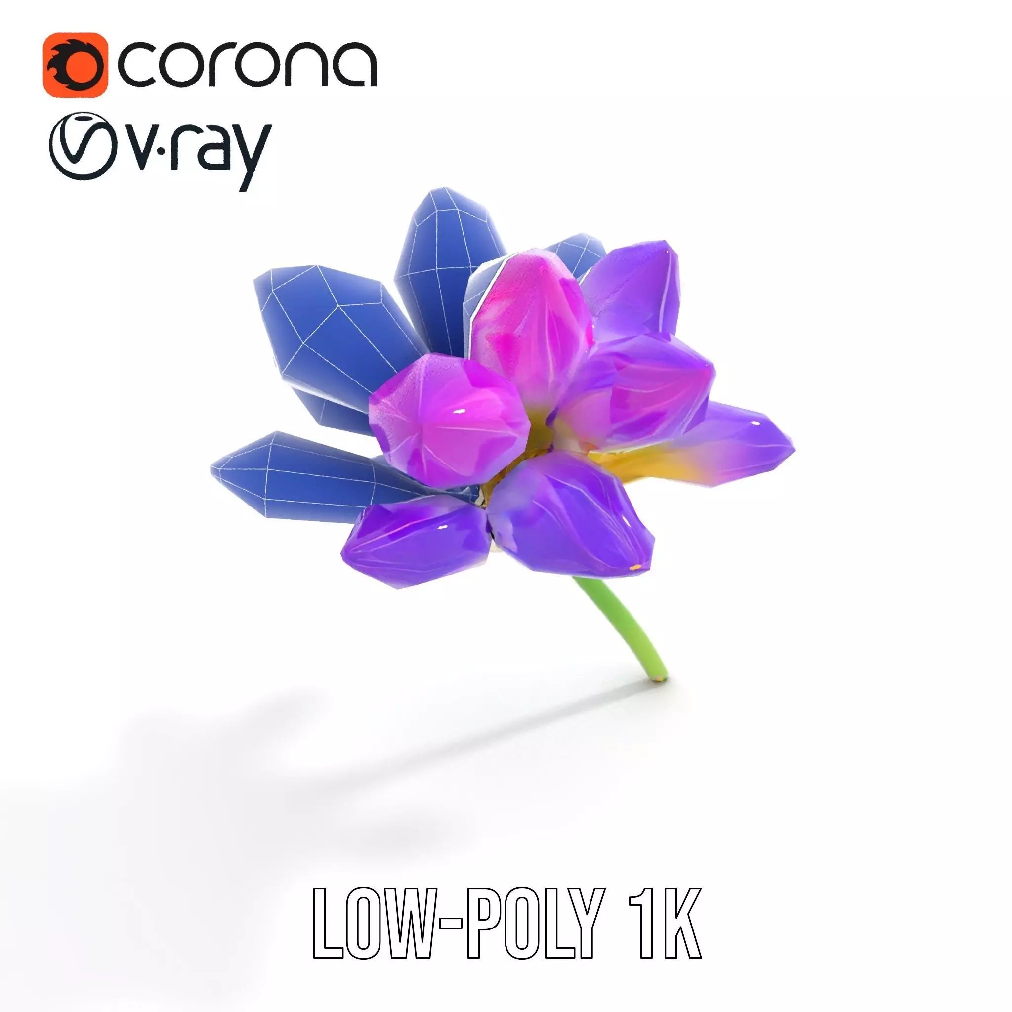 Radiant Orchid Bloom model pack Low-poly 3D model_9