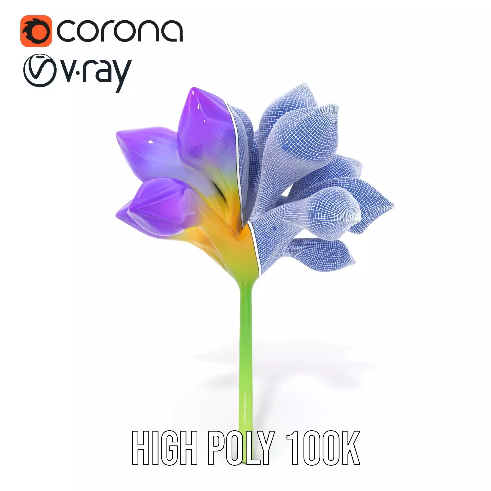 Radiant Orchid Bloom model pack Low-poly 3D model_28