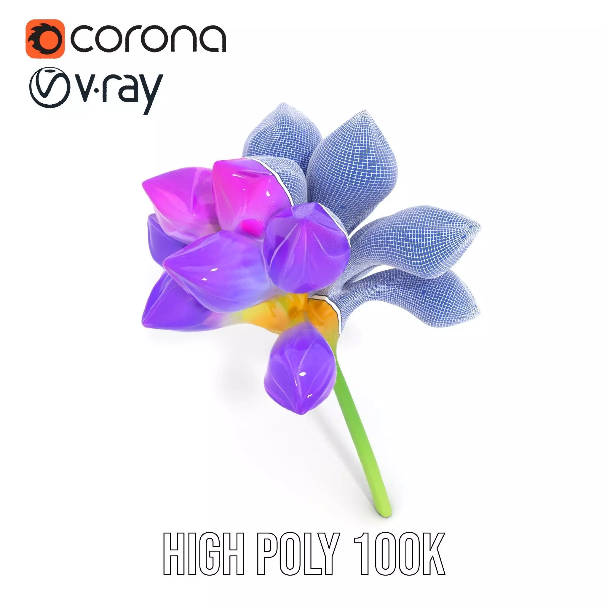 Radiant Orchid Bloom model pack Low-poly 3D model_33