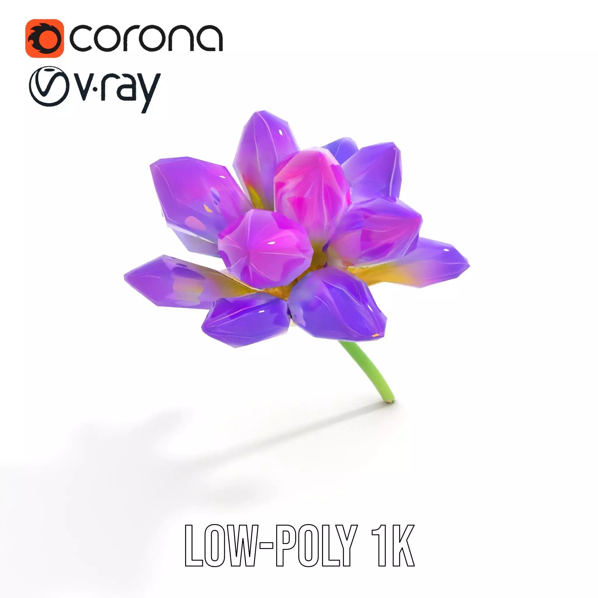 Radiant Orchid Bloom model pack Low-poly 3D model_7