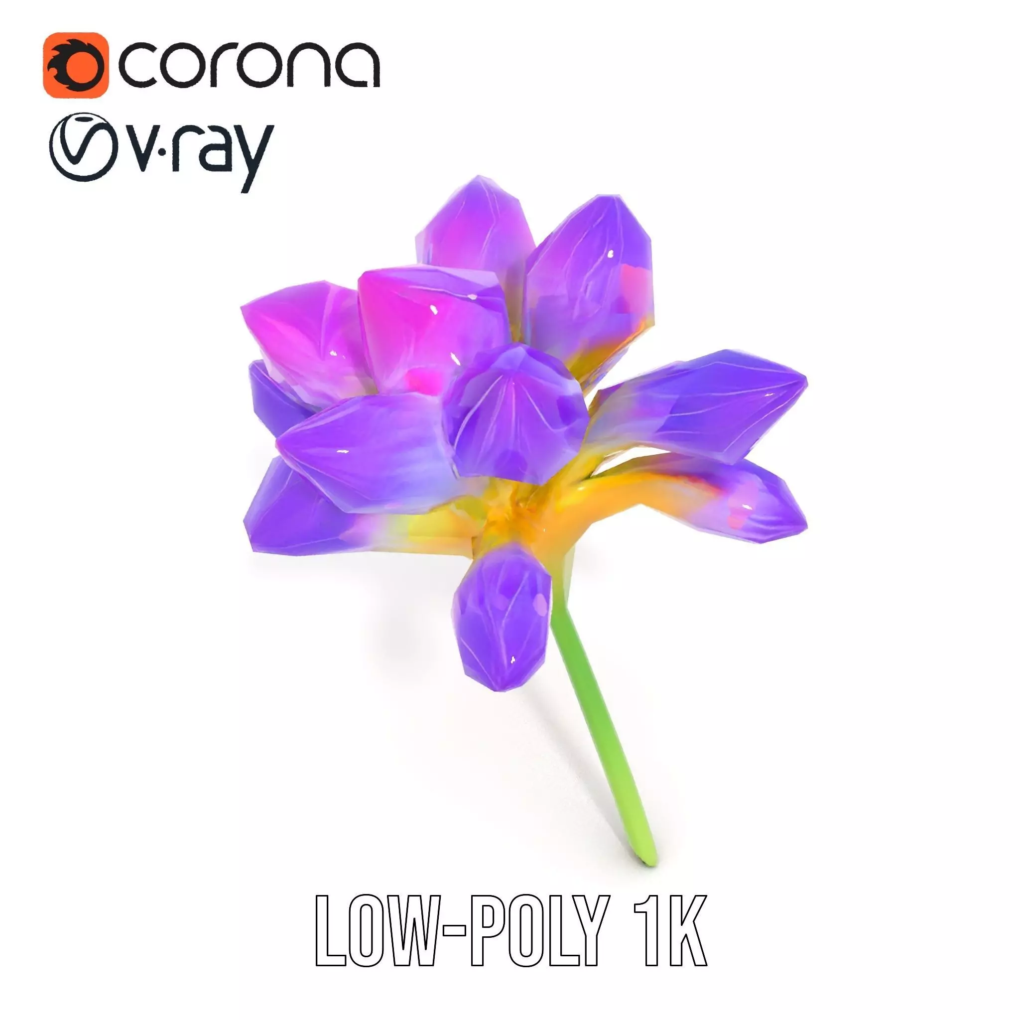 Radiant Orchid Bloom model pack Low-poly 3D model_25