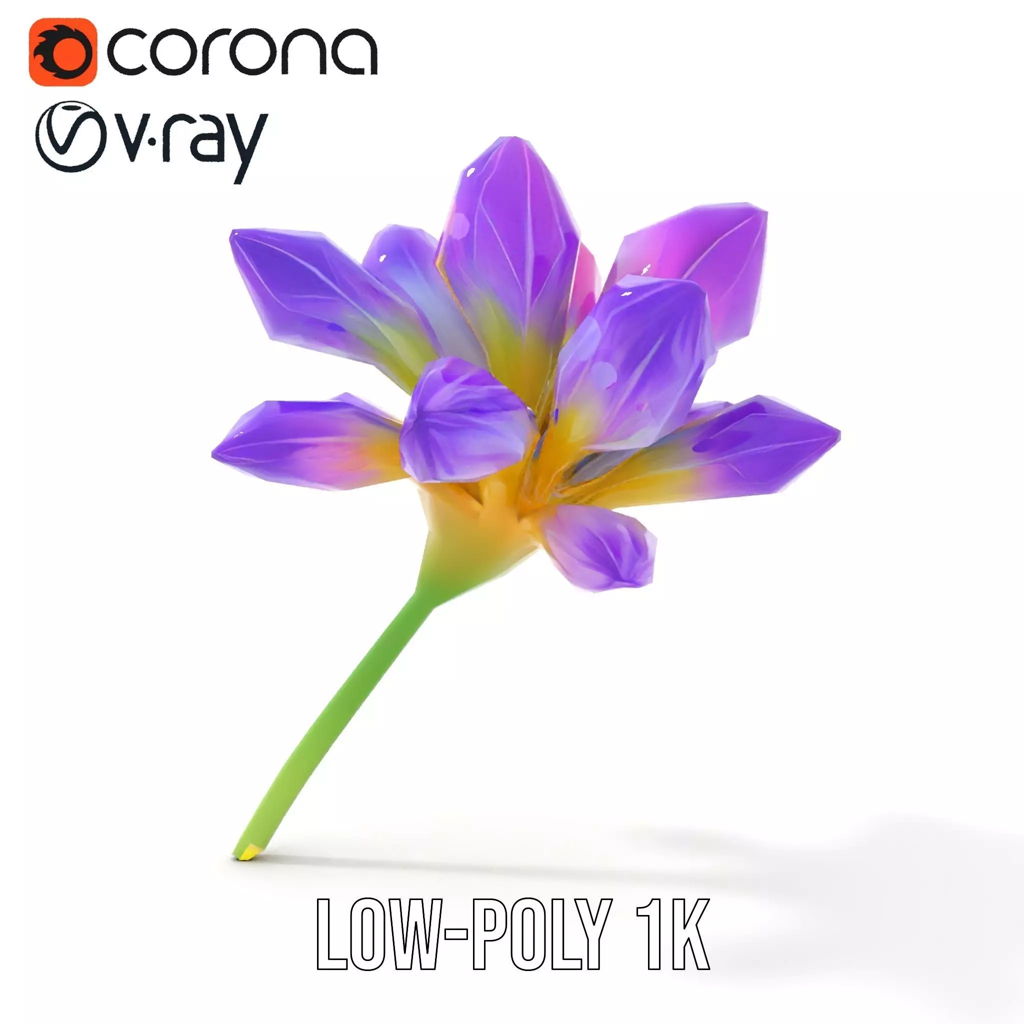 Radiant Orchid Bloom model pack Low-poly 3D model_12