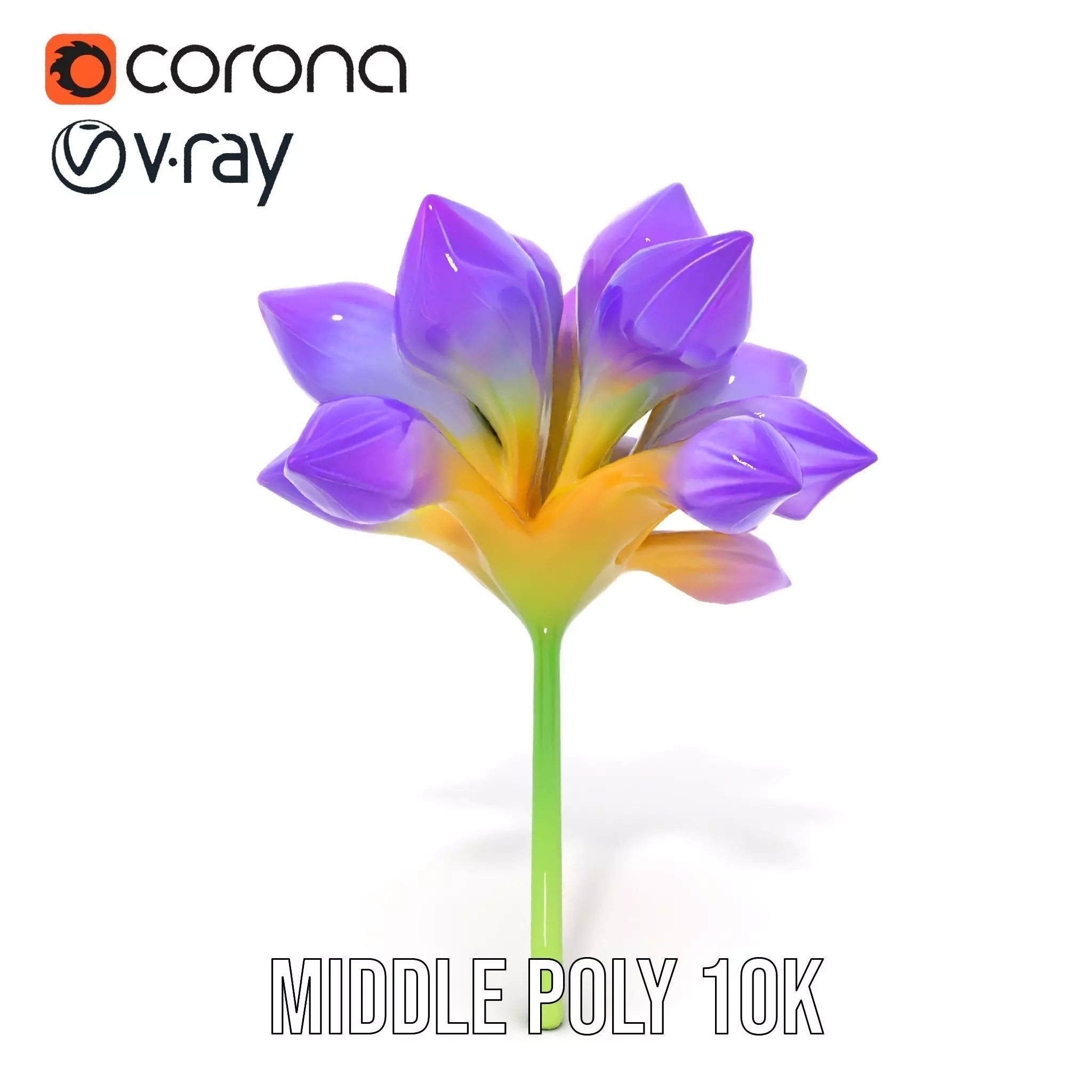 Radiant Orchid Bloom model pack Low-poly 3D model_13