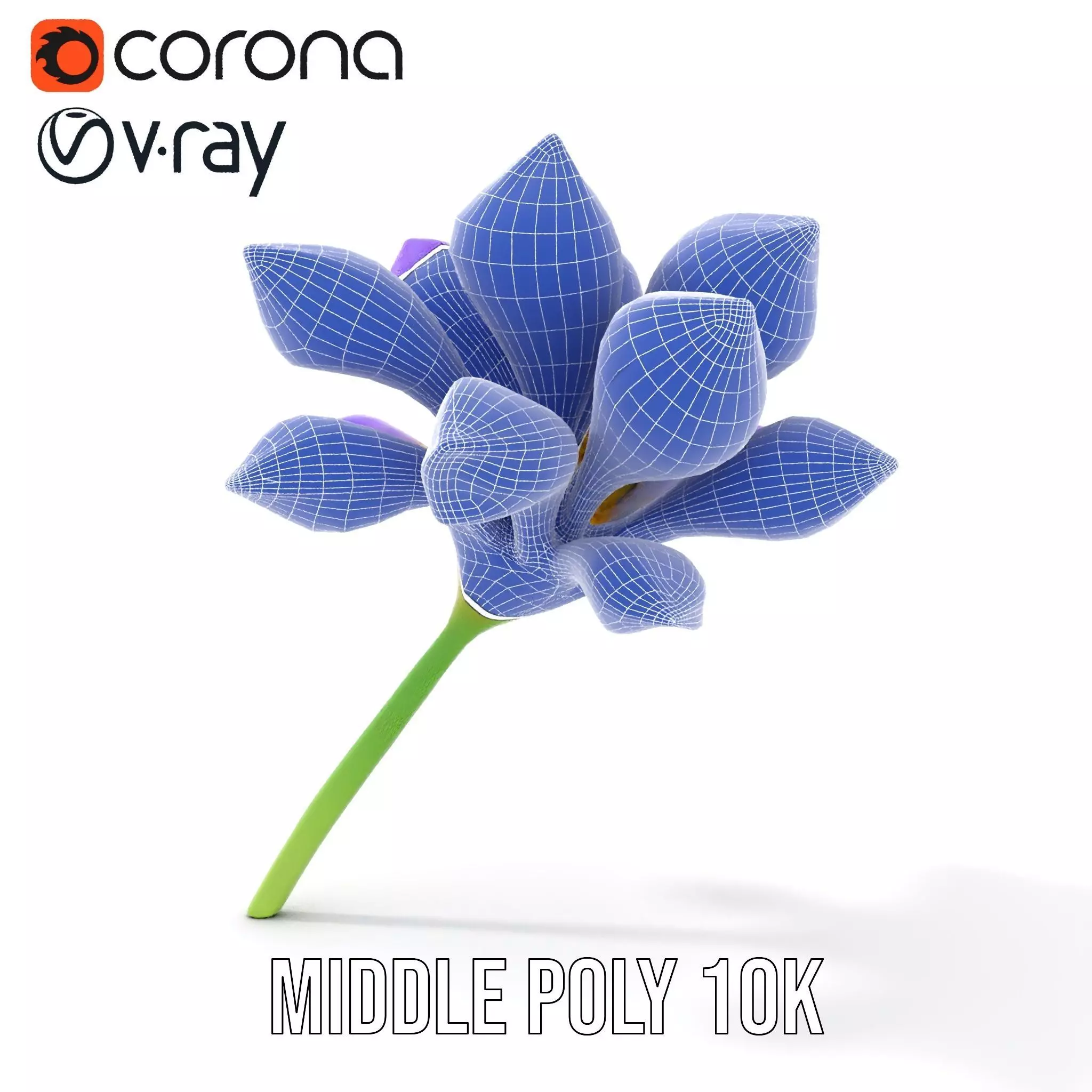 Radiant Orchid Bloom model pack Low-poly 3D model_16