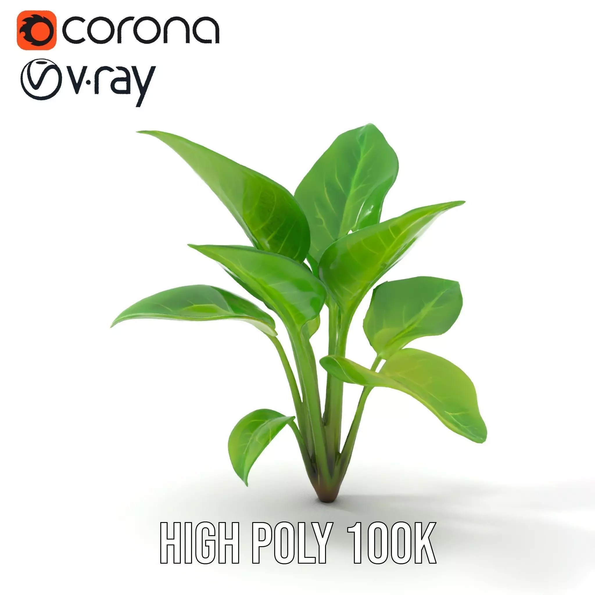 Lush Green Foliage model pack Low-poly 3D model_23