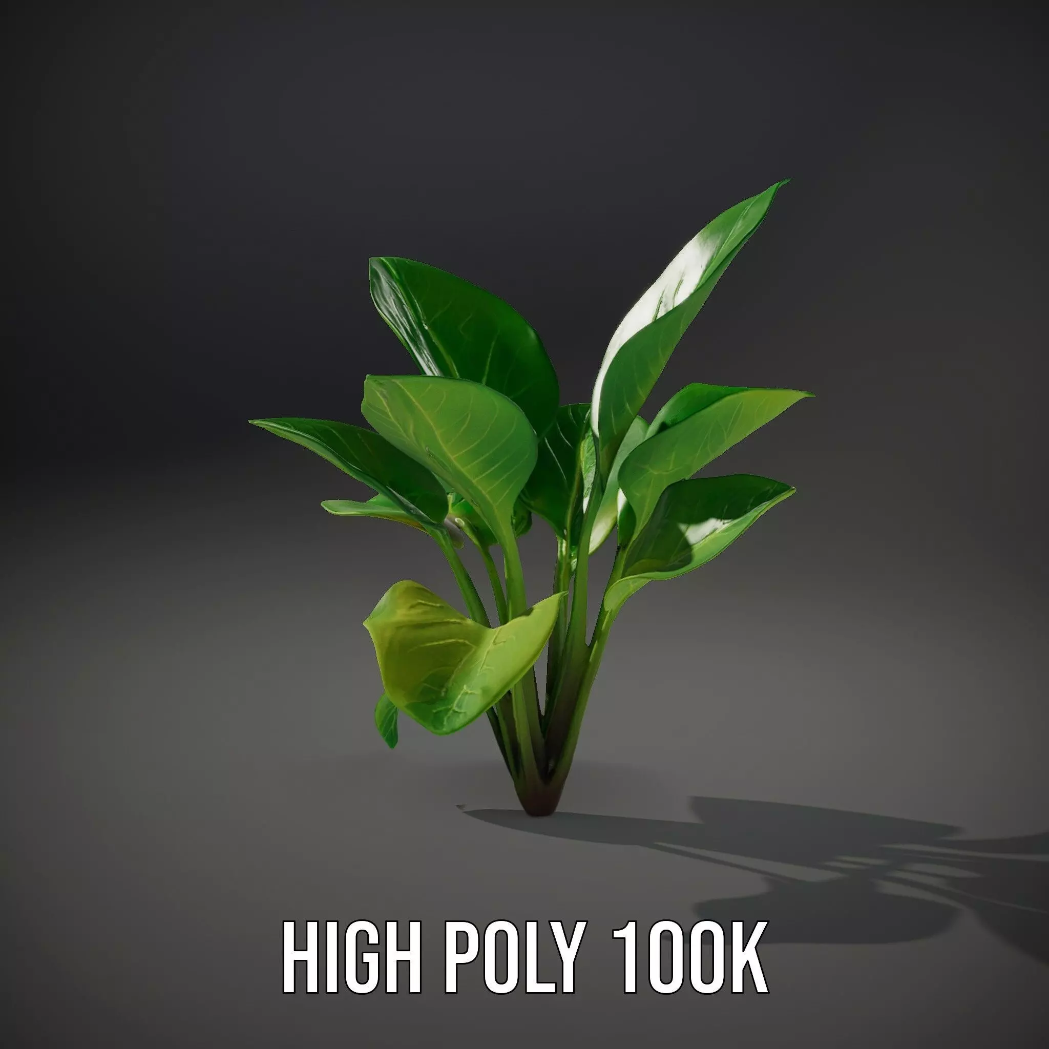 Lush Green Foliage model pack Low-poly 3D model_8