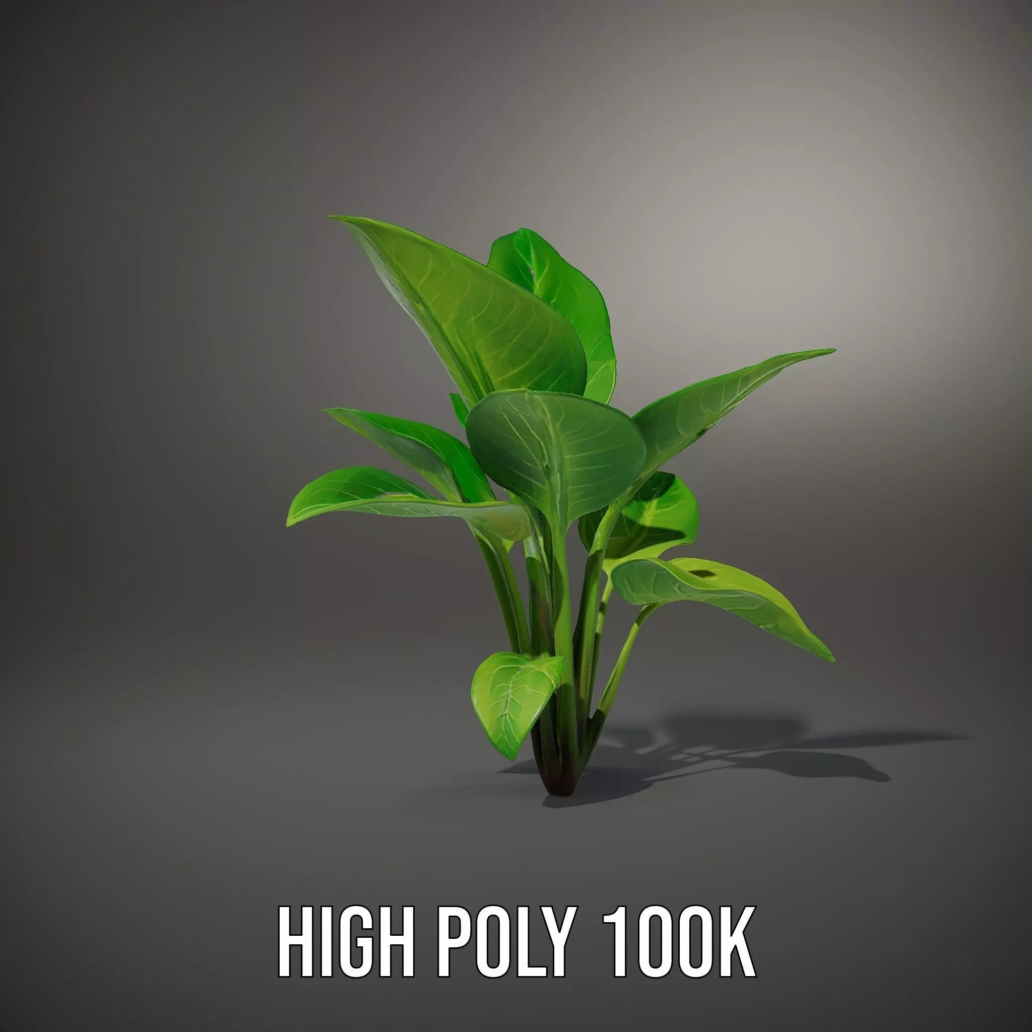 Lush Green Foliage model pack Low-poly 3D model_10