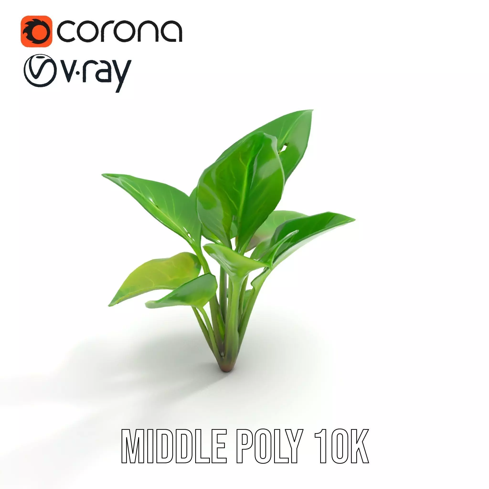 Lush Green Foliage model pack Low-poly 3D model_11