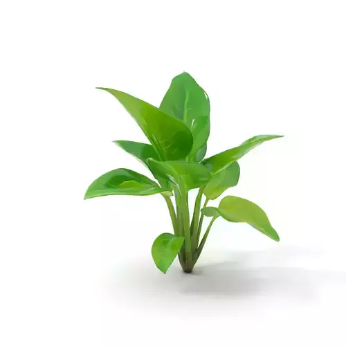 Lush Green Foliage model pack Low-poly 3D model