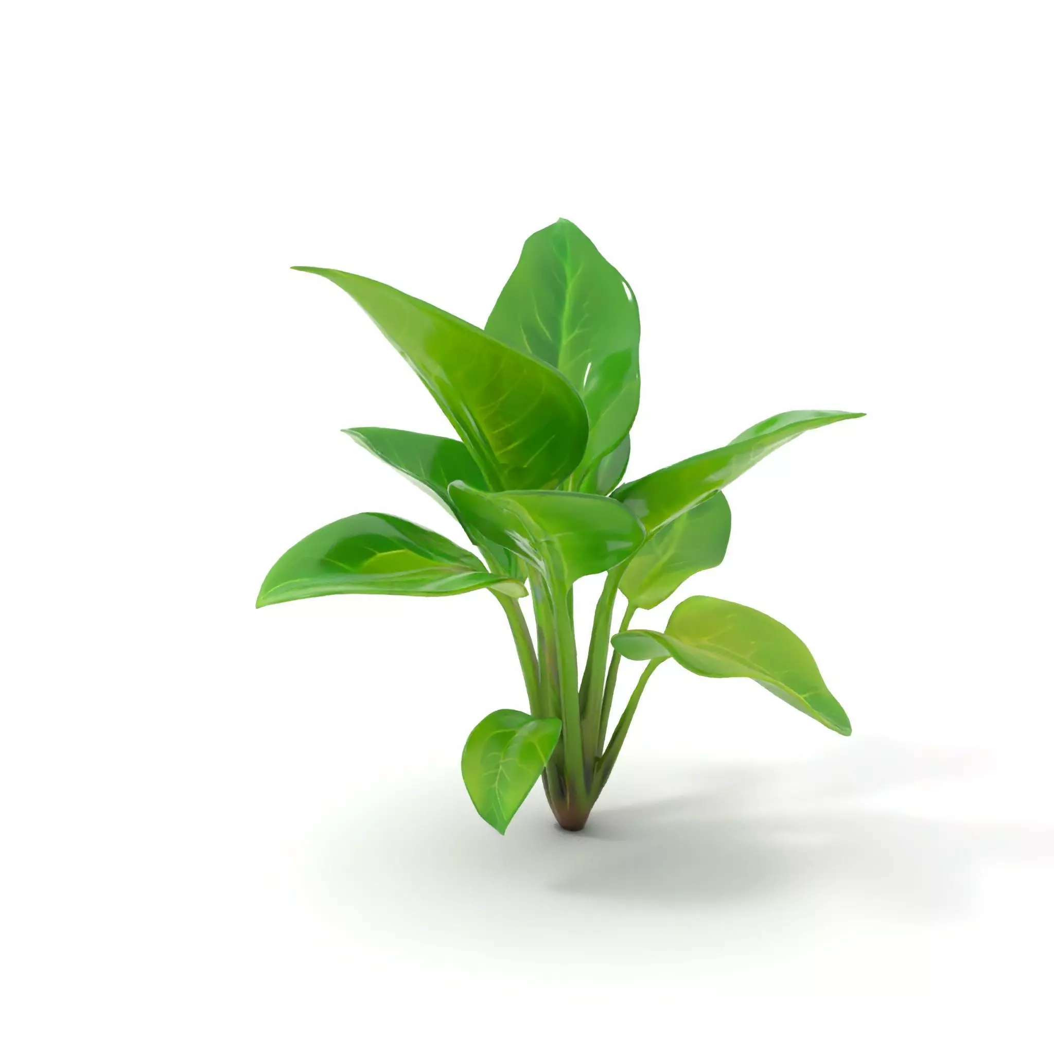 Lush Green Foliage model pack Low-poly 3D model_0