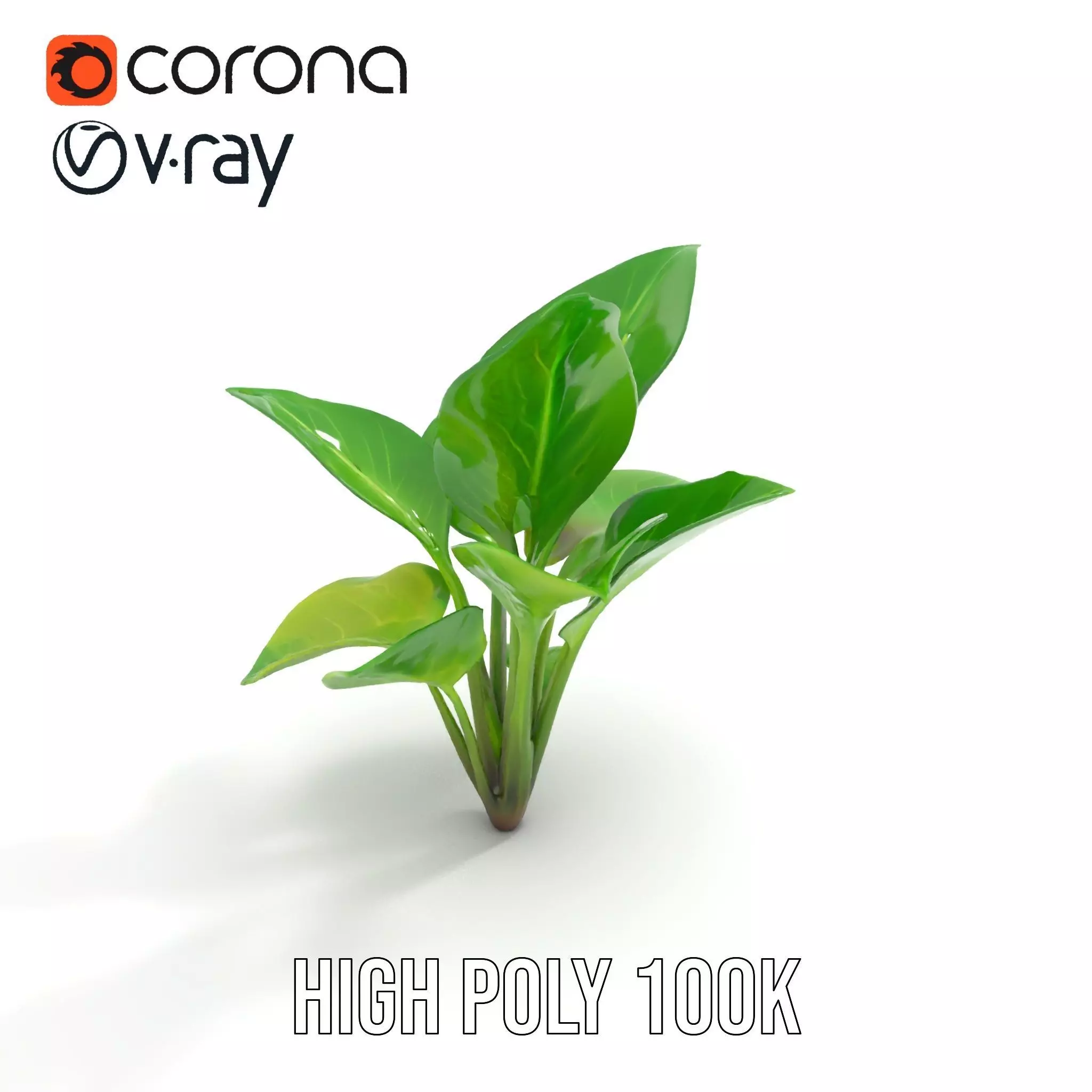Lush Green Foliage model pack Low-poly 3D model_26