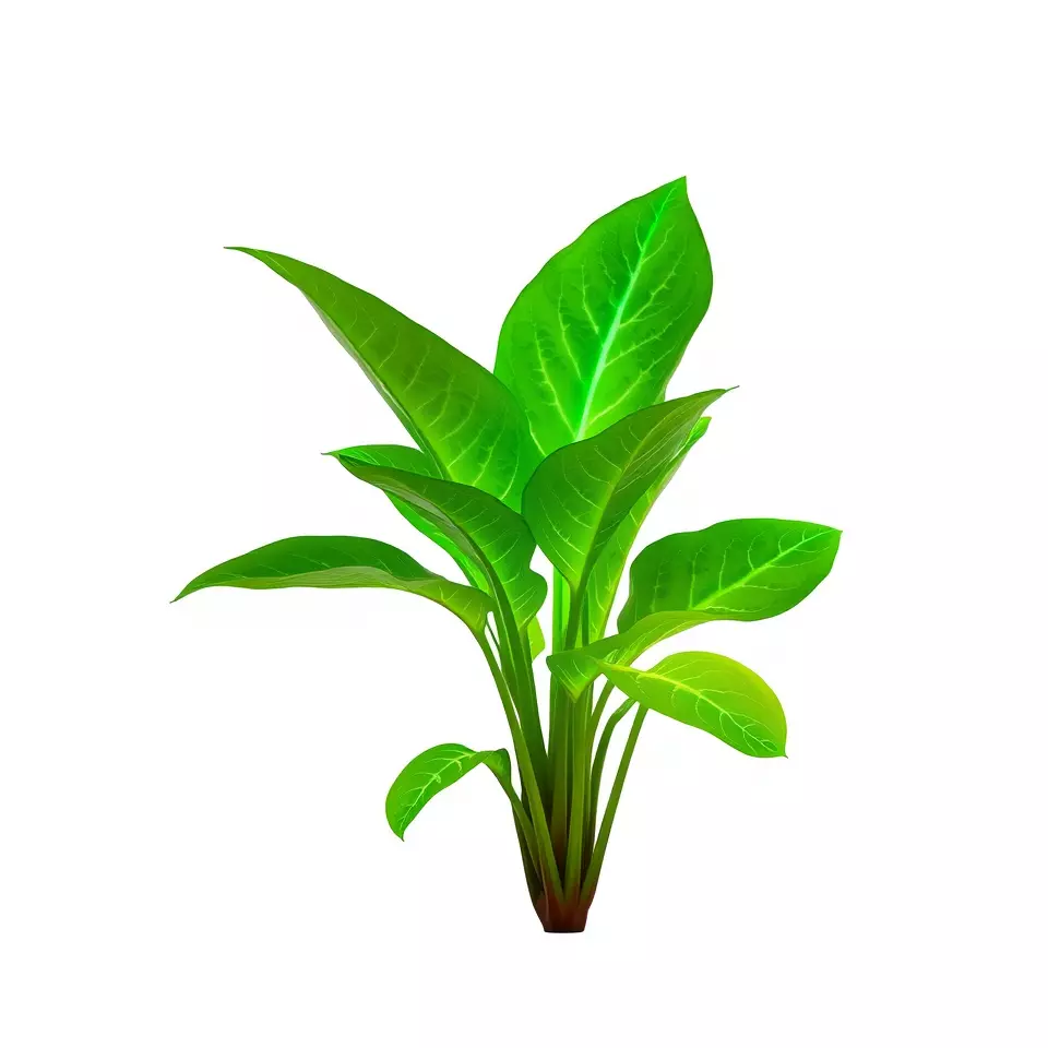 Lush Green Foliage model pack Low-poly 3D model_2