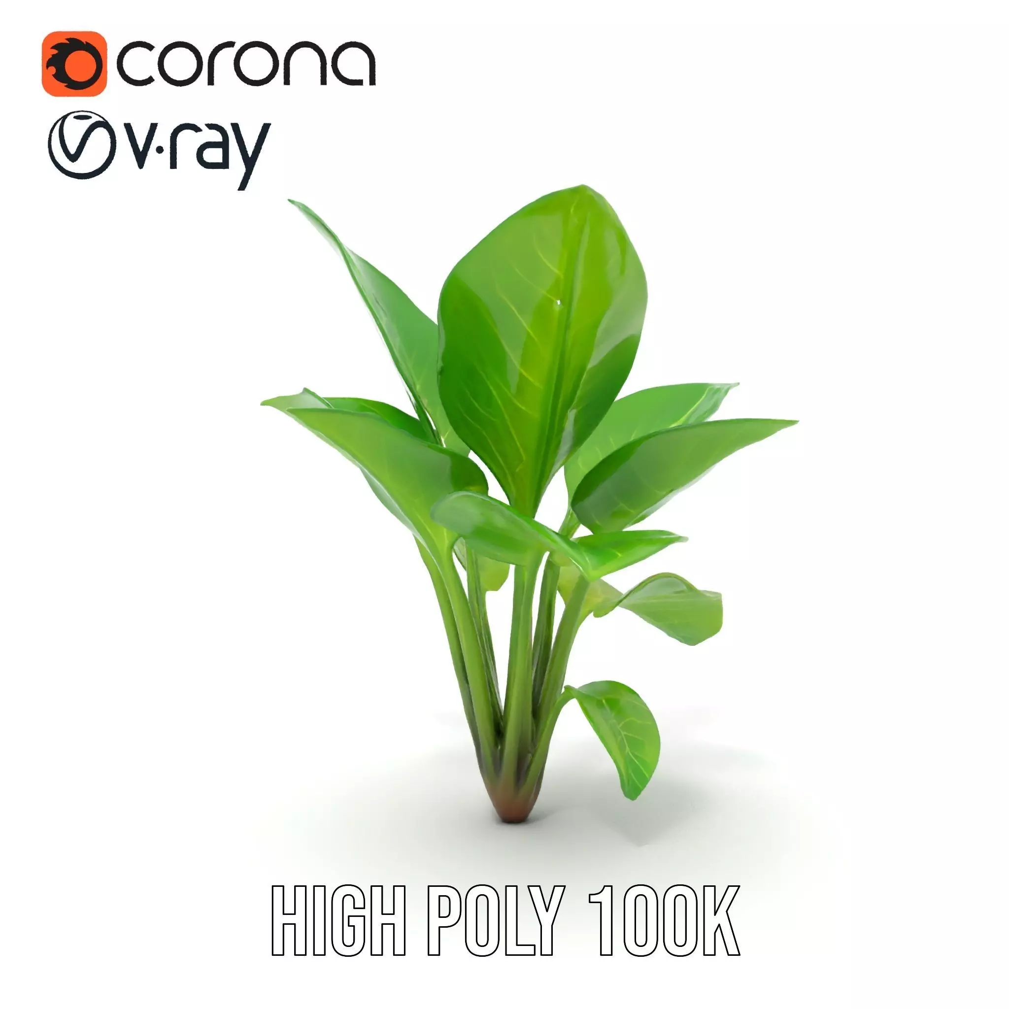 Lush Green Foliage model pack Low-poly 3D model_29