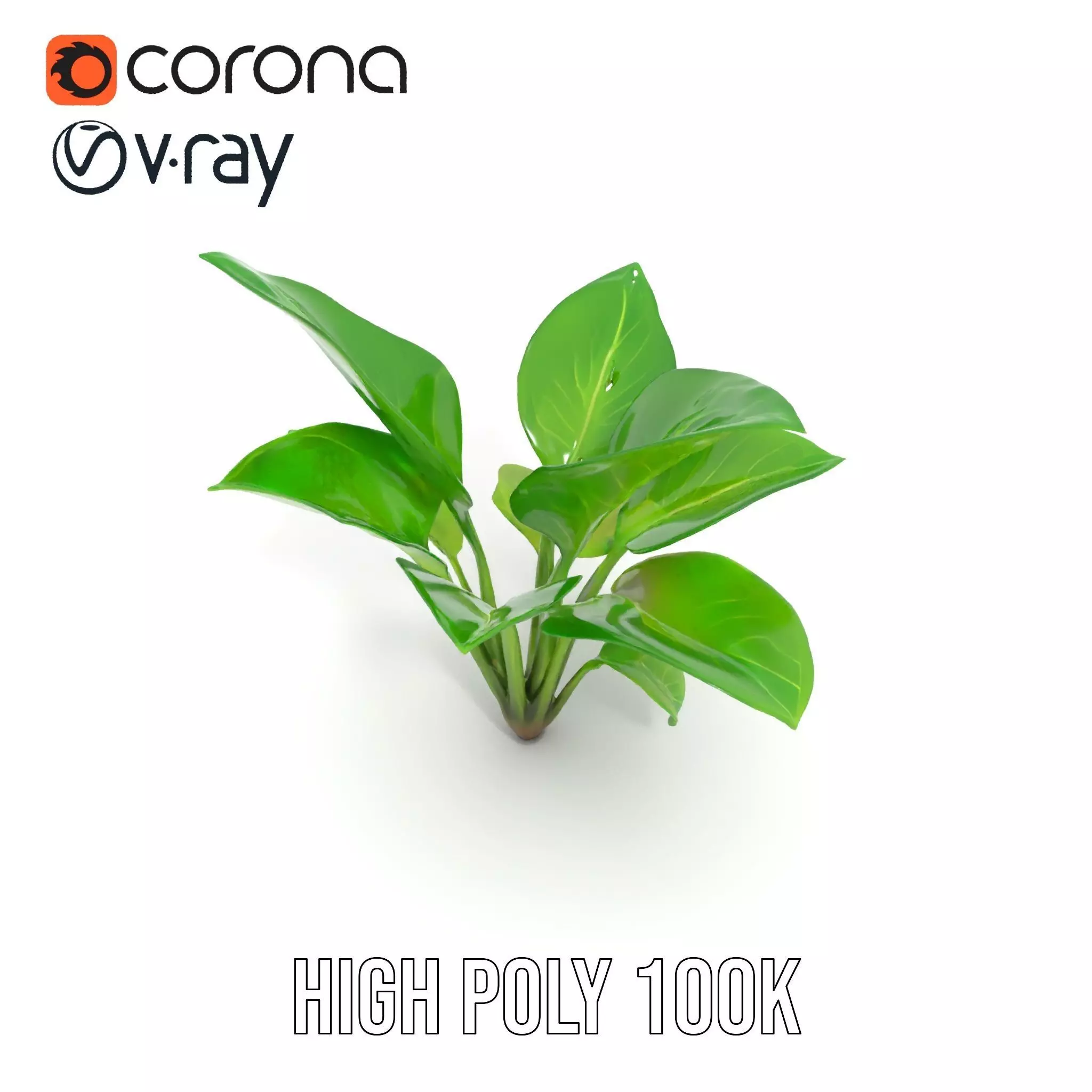 Lush Green Foliage model pack Low-poly 3D model_32