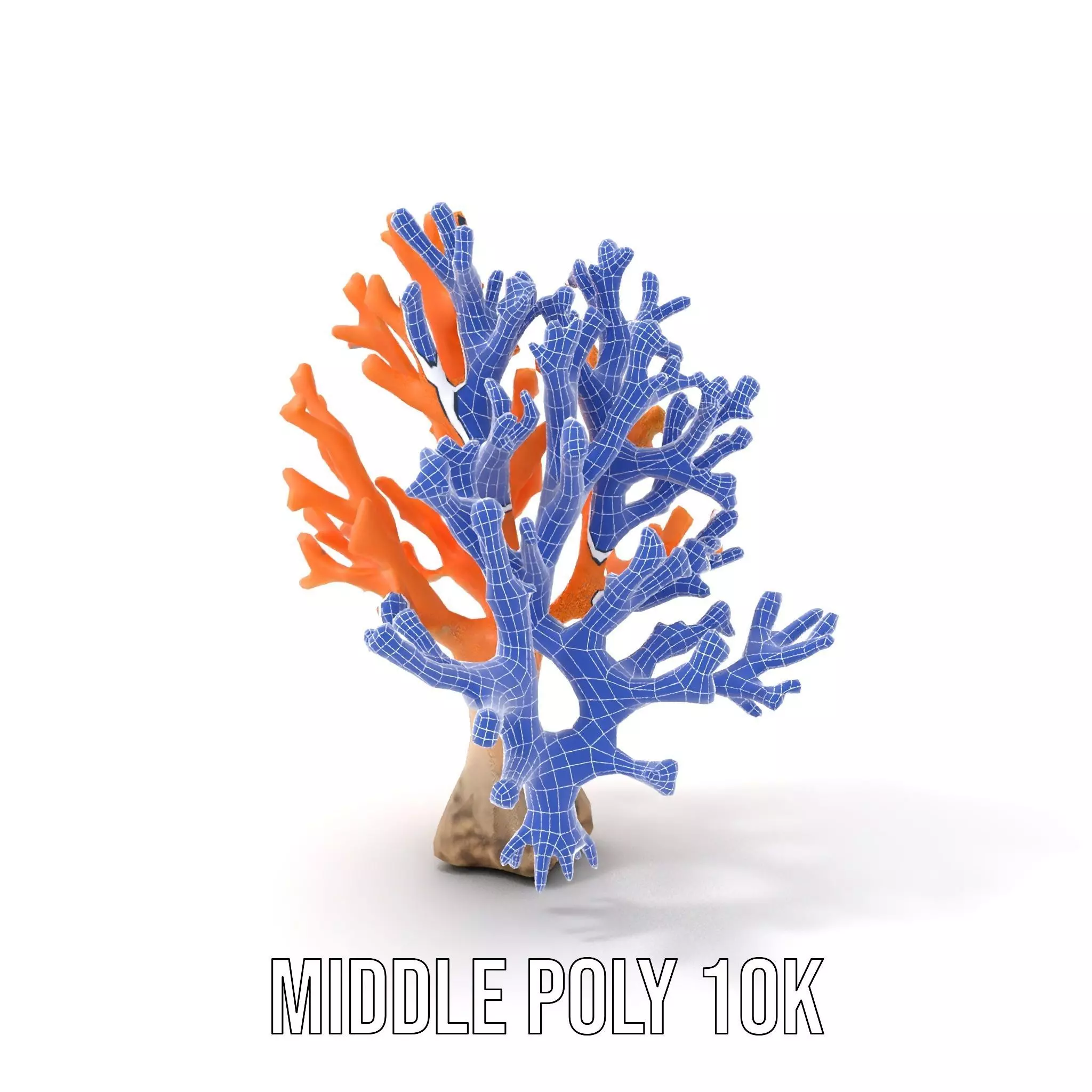 Orange Coral Sculpture model pack Low-poly 3D model_26