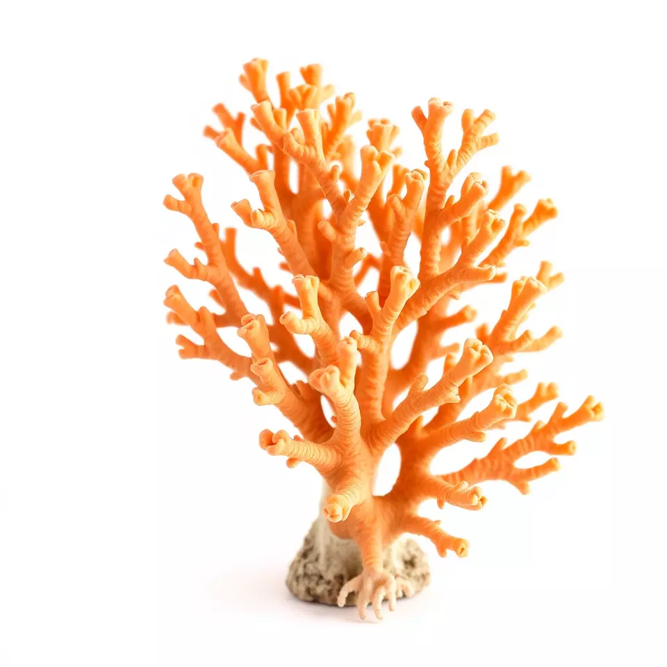 Orange Coral Sculpture model pack Low-poly 3D model_2