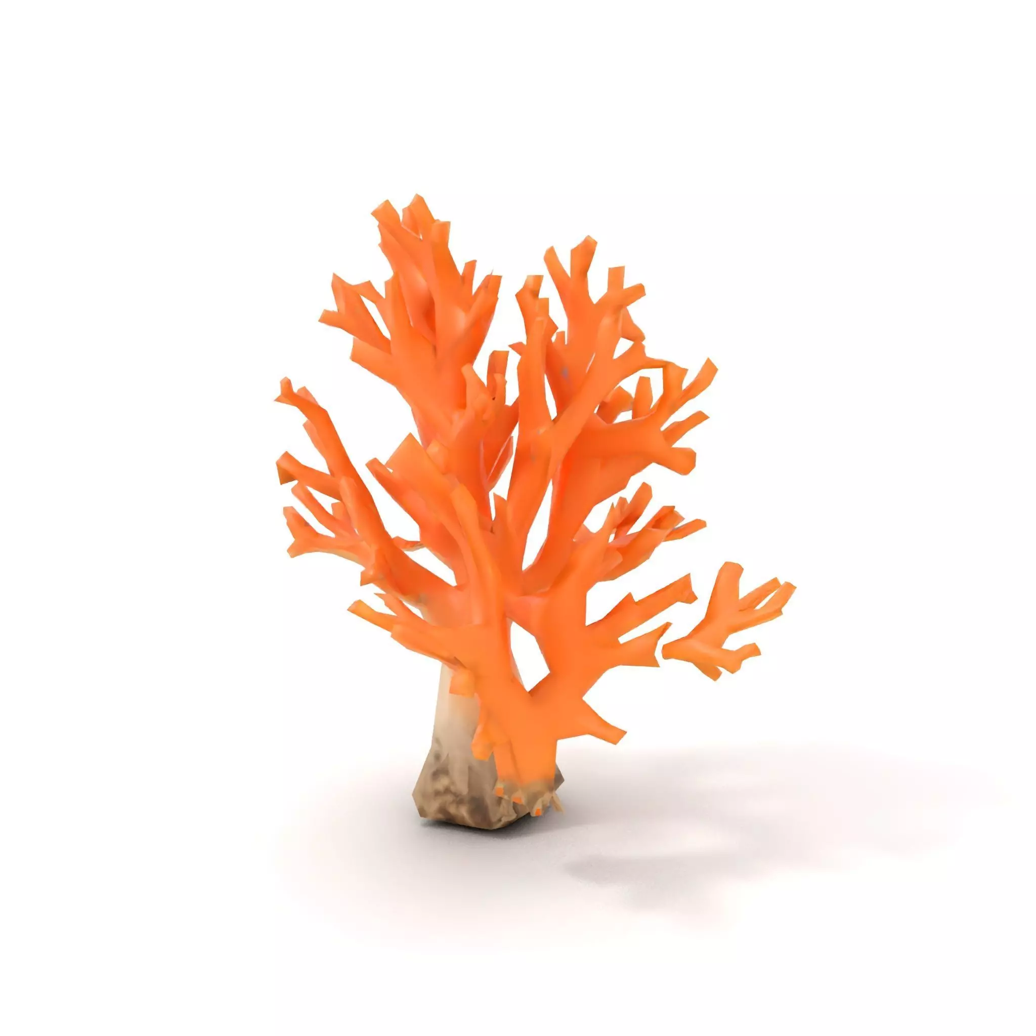Orange Coral Sculpture model pack Low-poly 3D model_9