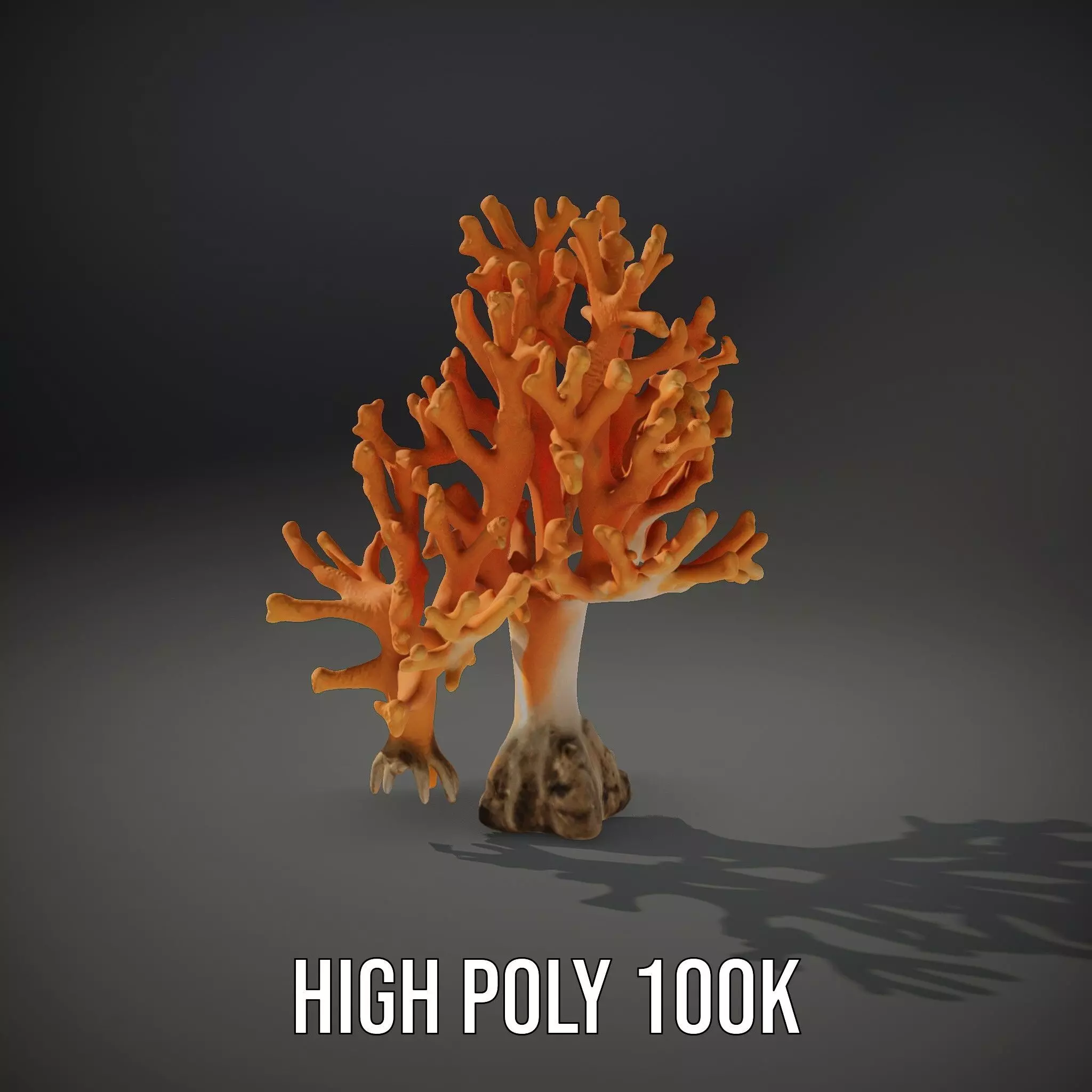 Orange Coral Sculpture model pack Low-poly 3D model_8