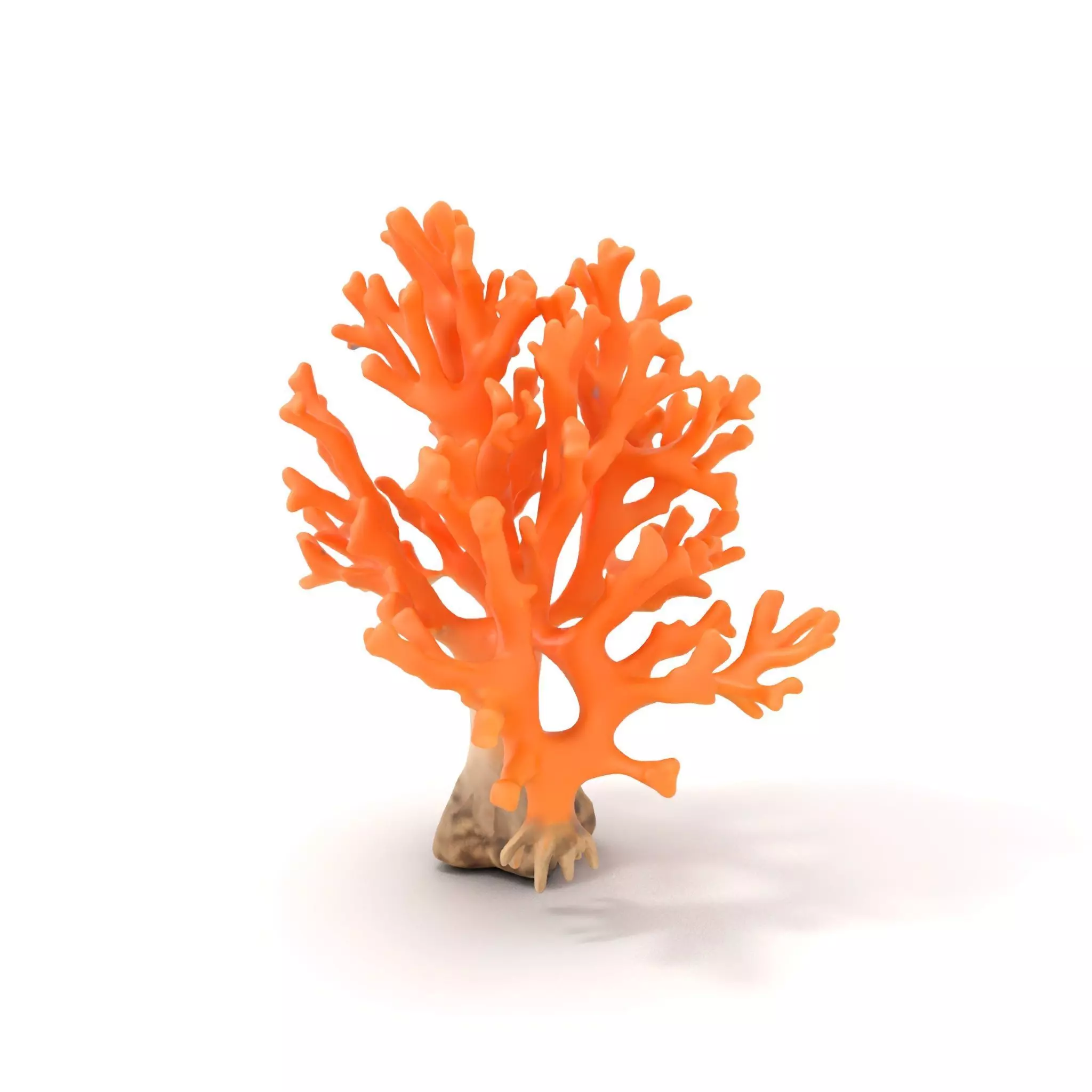 Orange Coral Sculpture model pack Low-poly 3D model_0