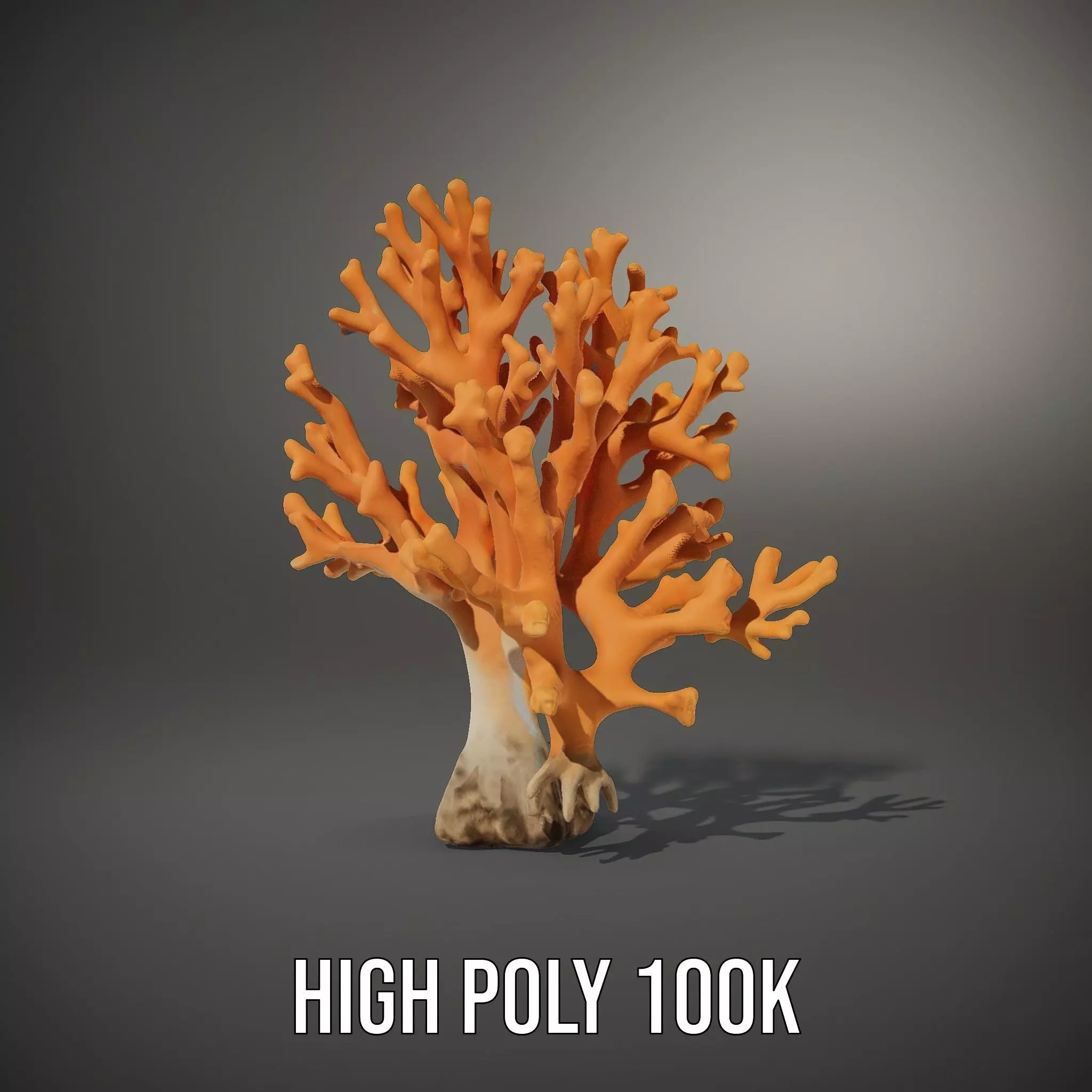 Orange Coral Sculpture model pack Low-poly 3D model_10