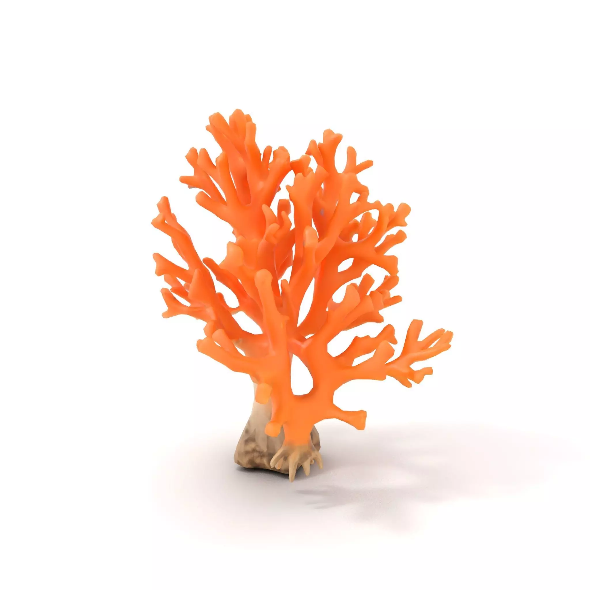 Orange Coral Sculpture model pack Low-poly 3D model_5