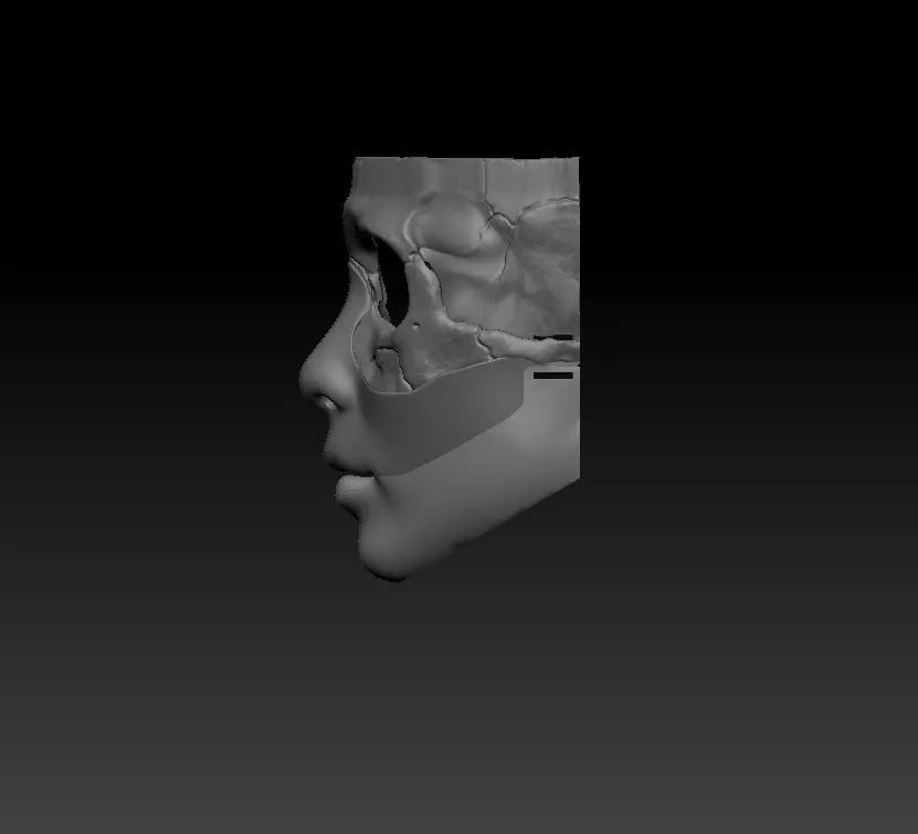 Skull mask female model 3D print model_3