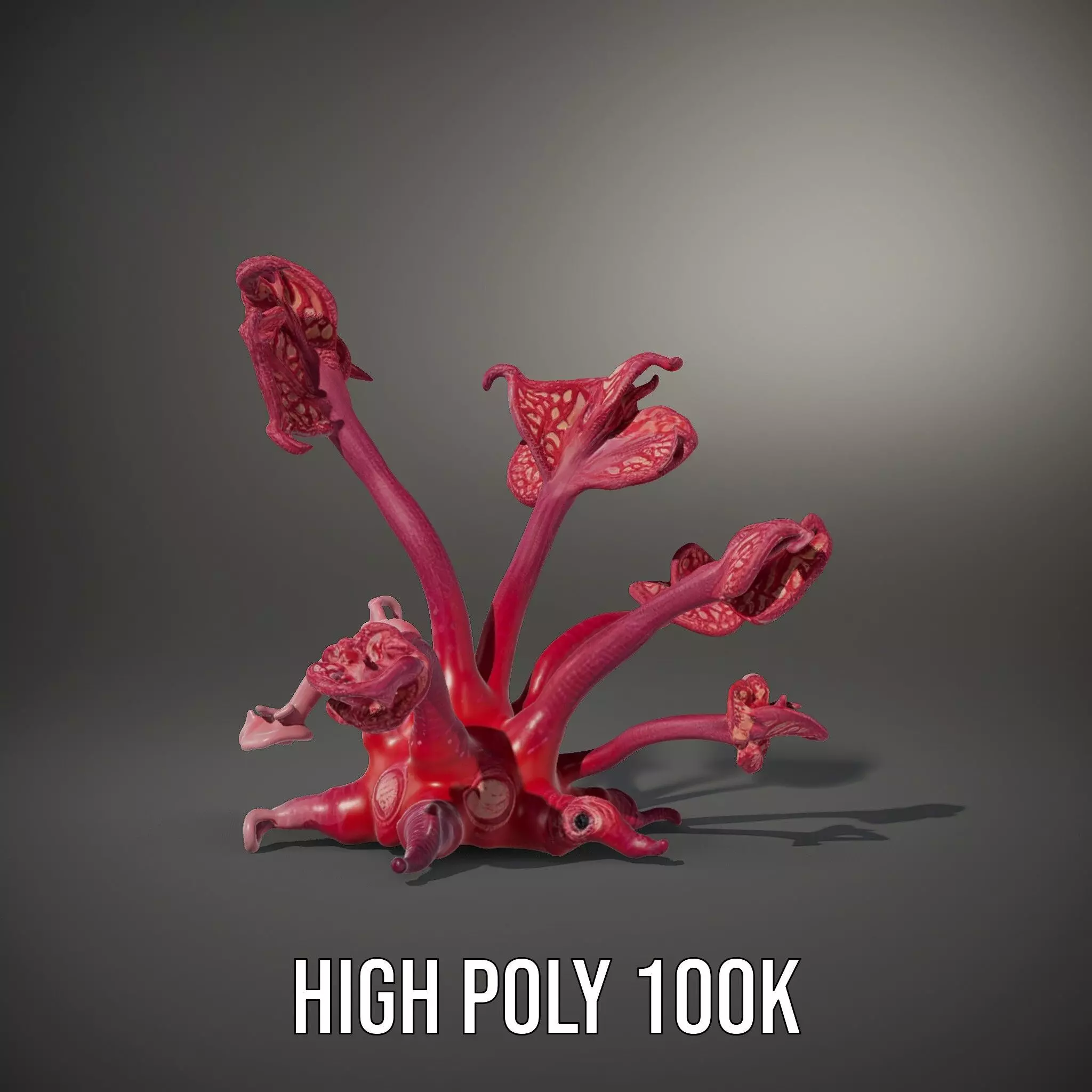 Mystical Pink Flora model pack Low-poly 3D model_8