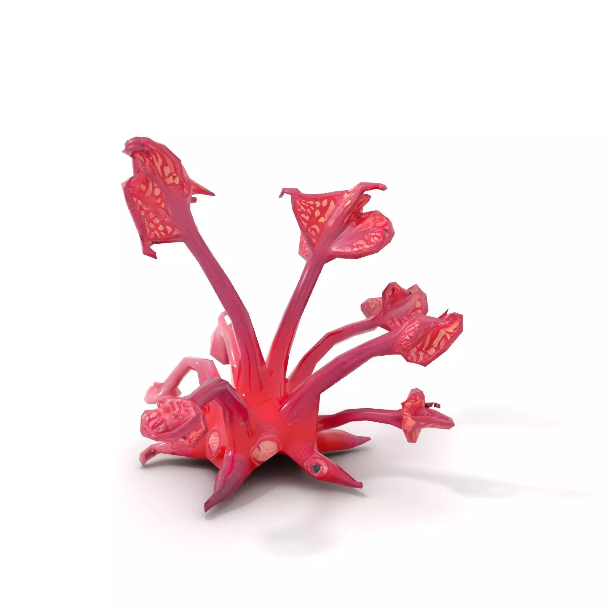 Mystical Pink Flora model pack Low-poly 3D model_12