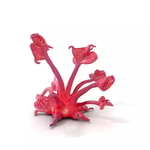 Mystical Pink Flora model pack