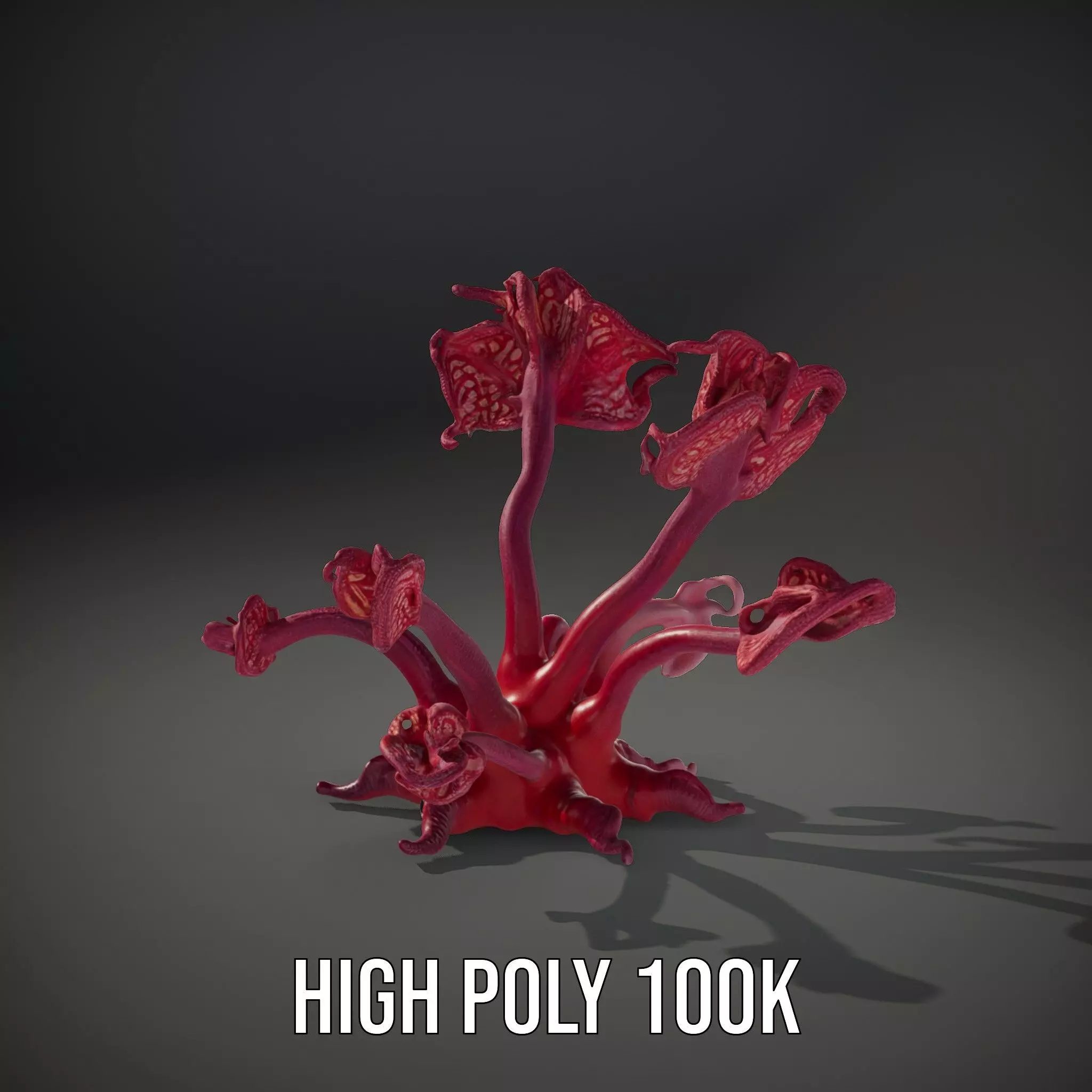Mystical Pink Flora model pack Low-poly 3D model_10