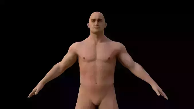Realistic human body 3D model