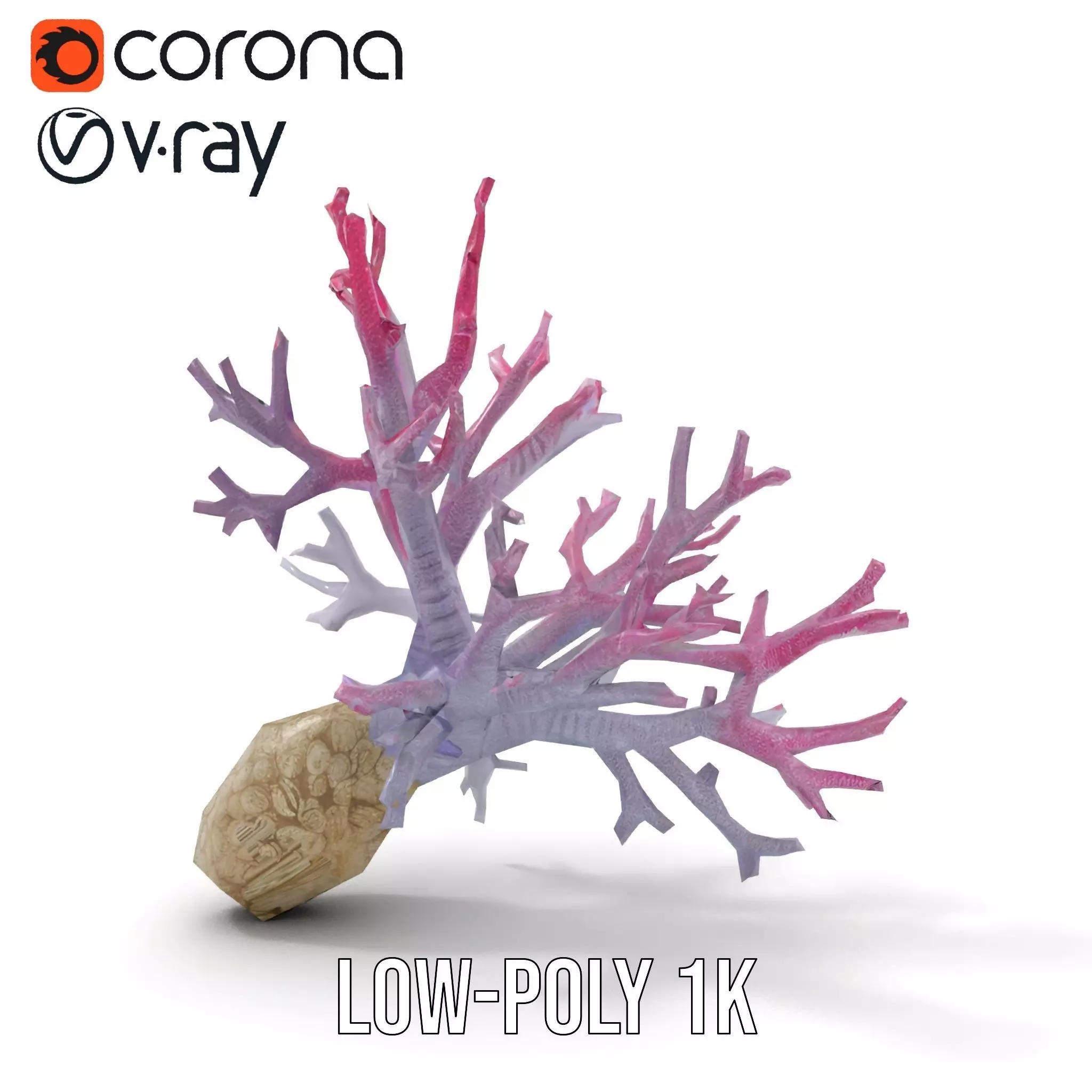 Pink Coral Growth model pack Low-poly 3D model_14