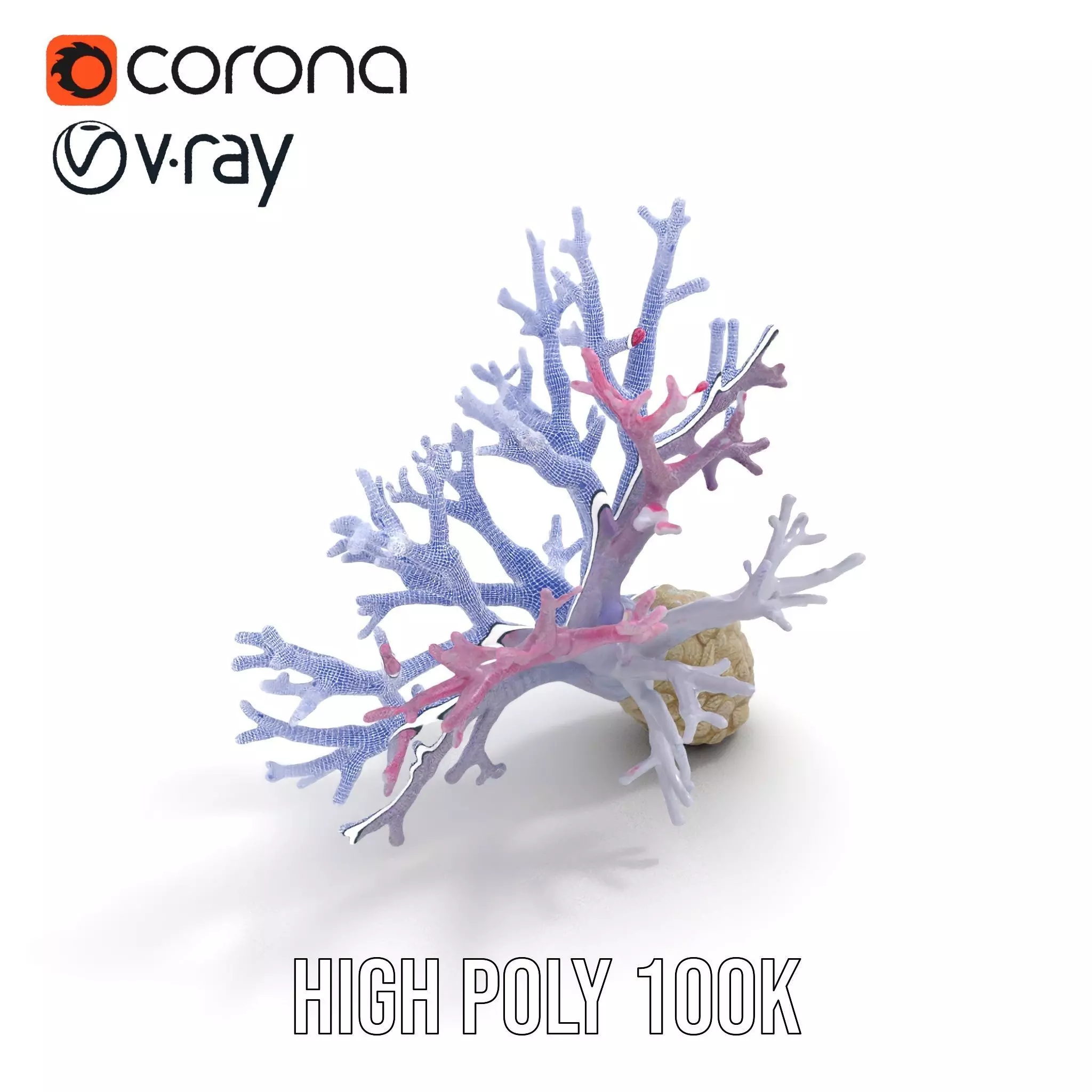 Pink Coral Growth model pack Low-poly 3D model_32