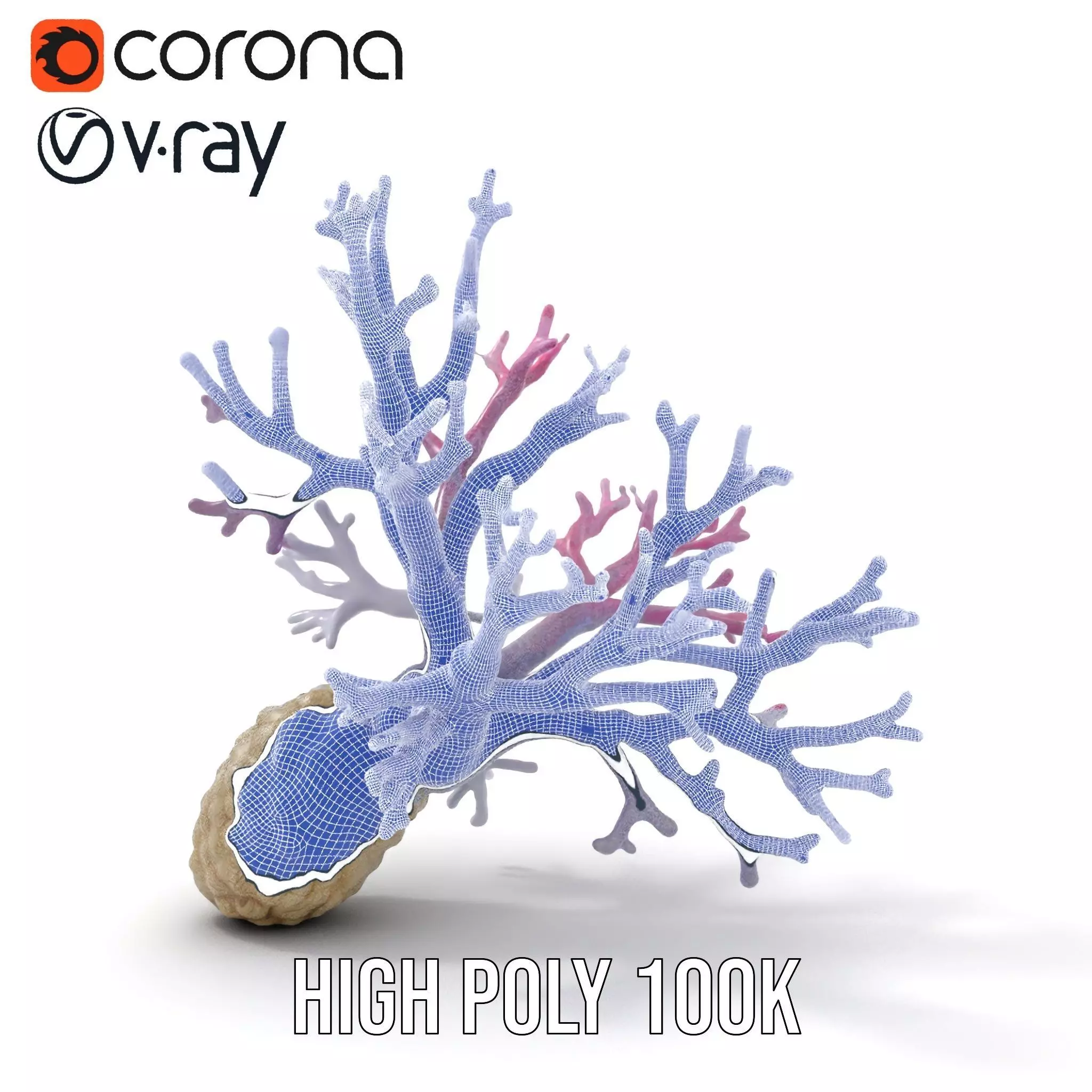 Pink Coral Growth model pack Low-poly 3D model_34