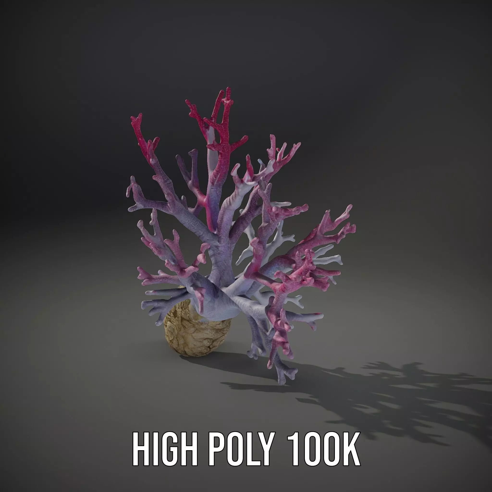 Pink Coral Growth model pack Low-poly 3D model_10