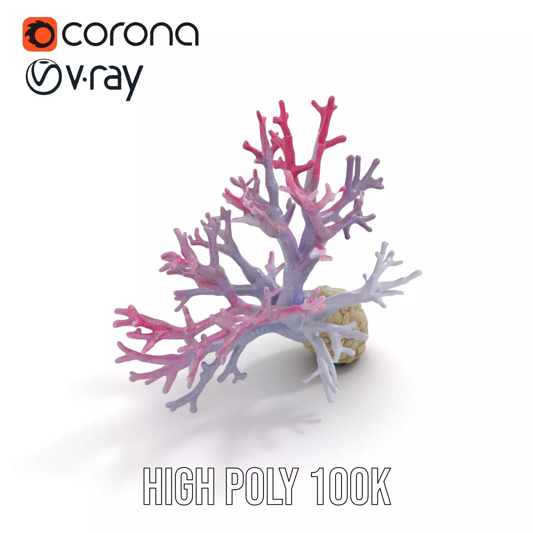 Pink Coral Growth model pack Low-poly 3D model_15