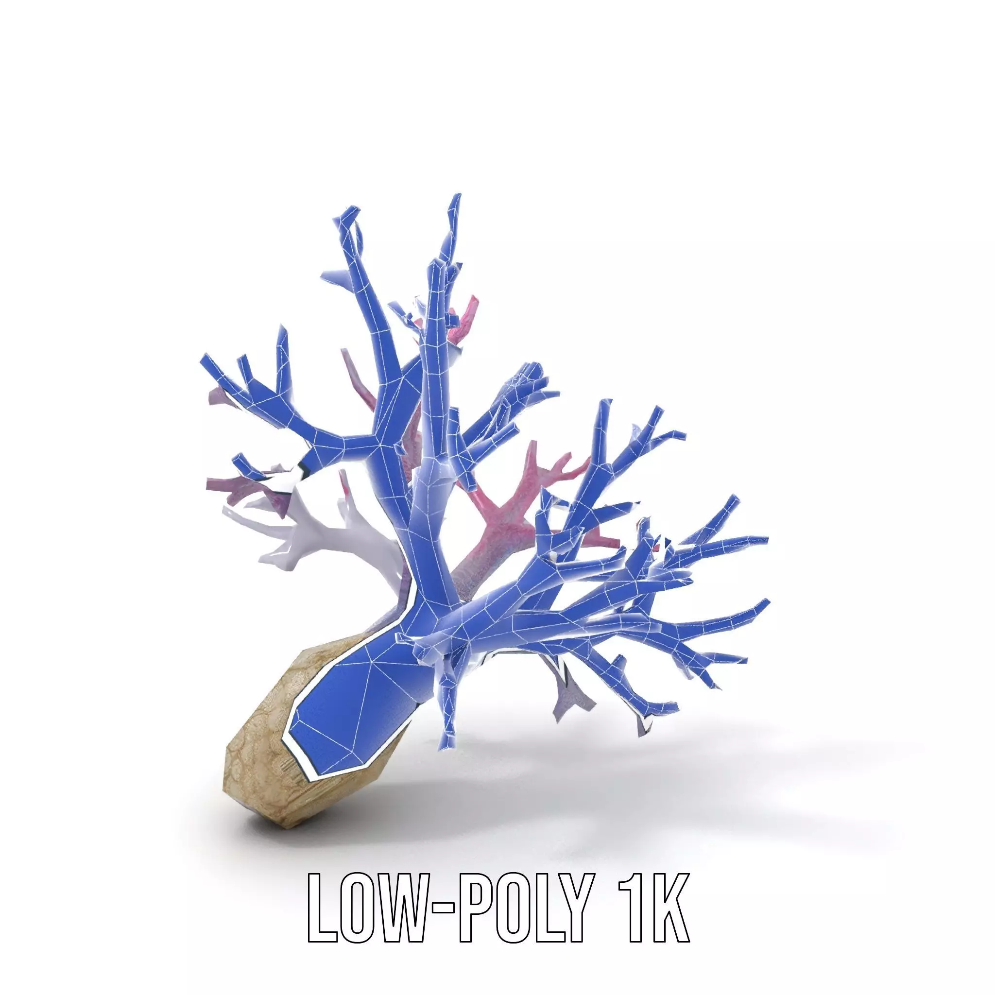 Pink Coral Growth model pack Low-poly 3D model_25