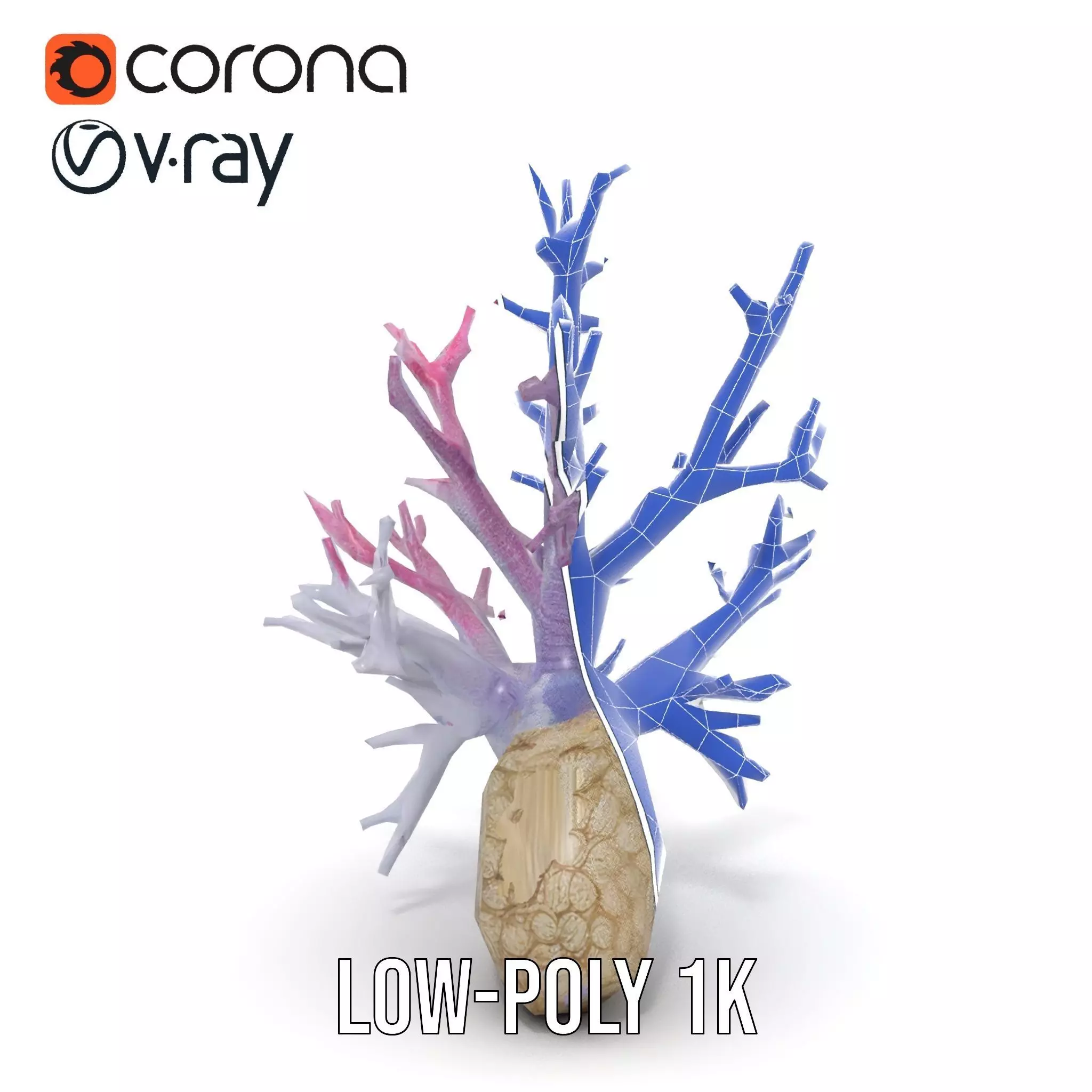 Pink Coral Growth model pack Low-poly 3D model_31