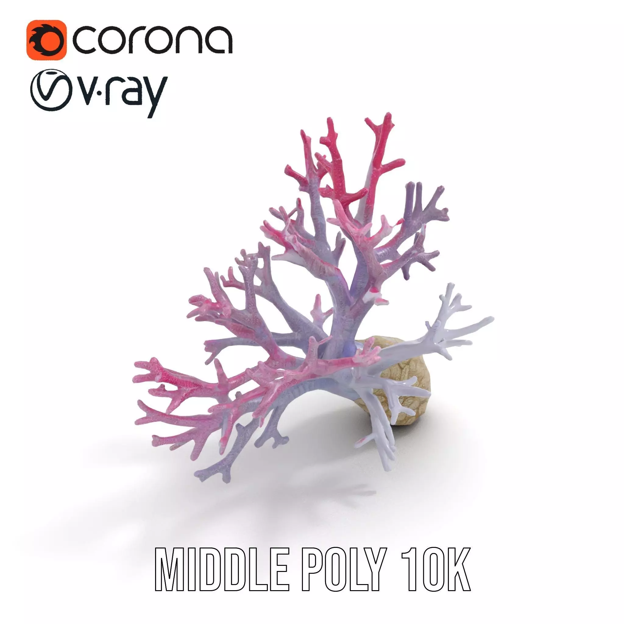 Pink Coral Growth model pack Low-poly 3D model_11