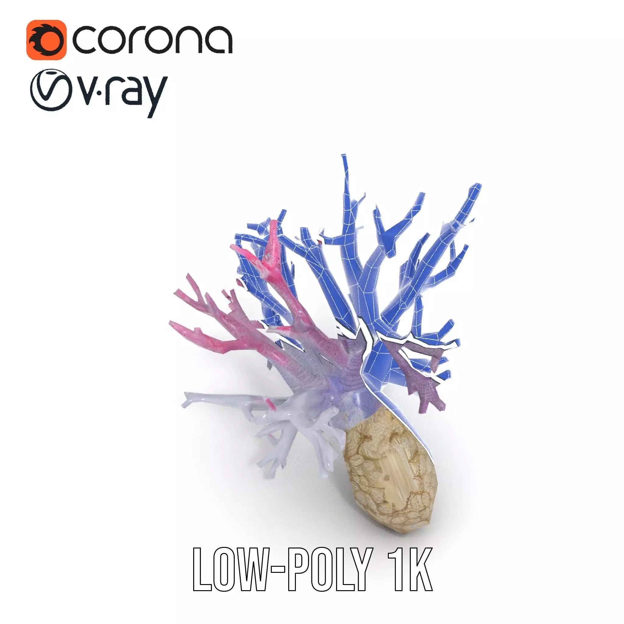 Pink Coral Growth model pack Low-poly 3D model_17