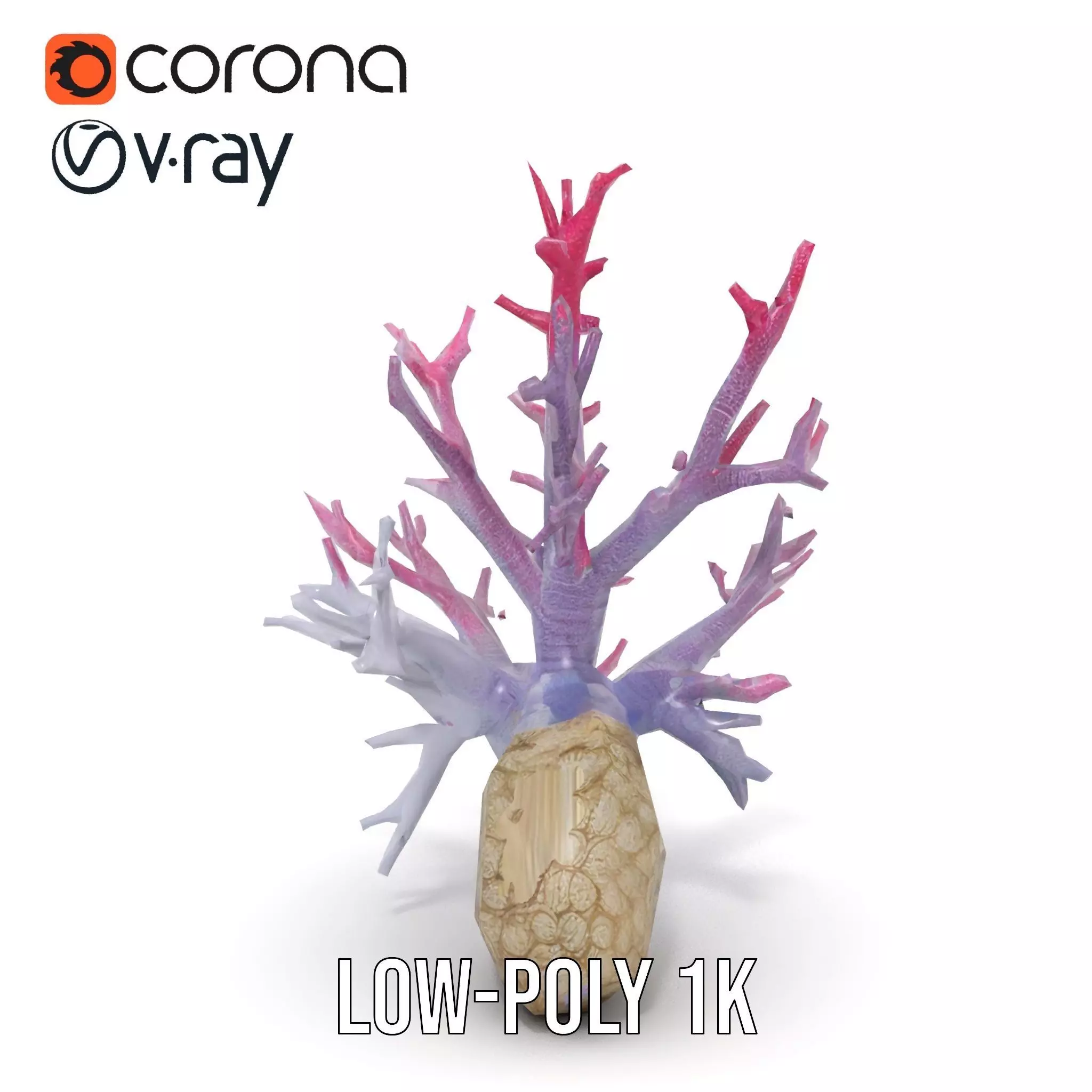 Pink Coral Growth model pack Low-poly 3D model_22