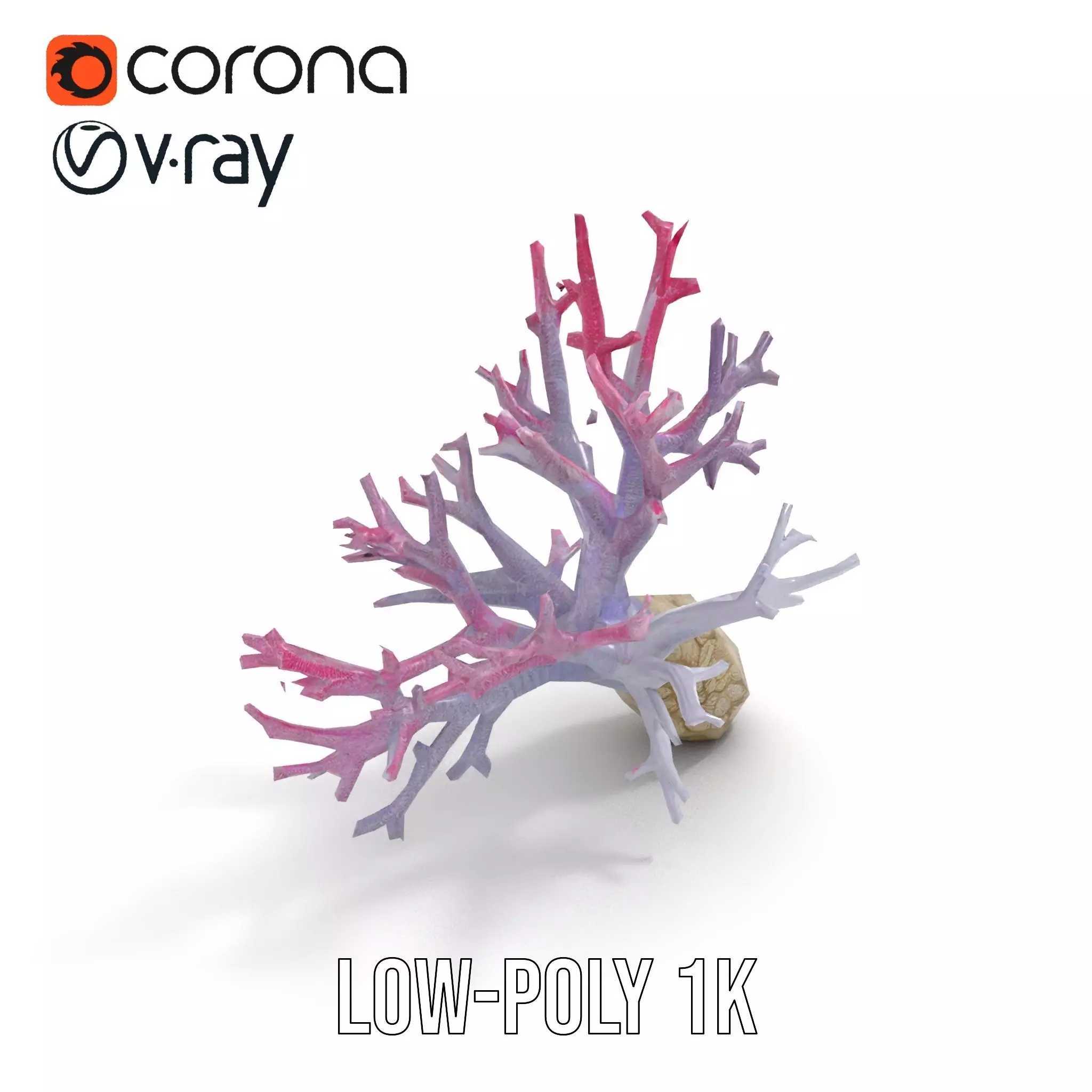 Pink Coral Growth model pack Low-poly 3D model_12